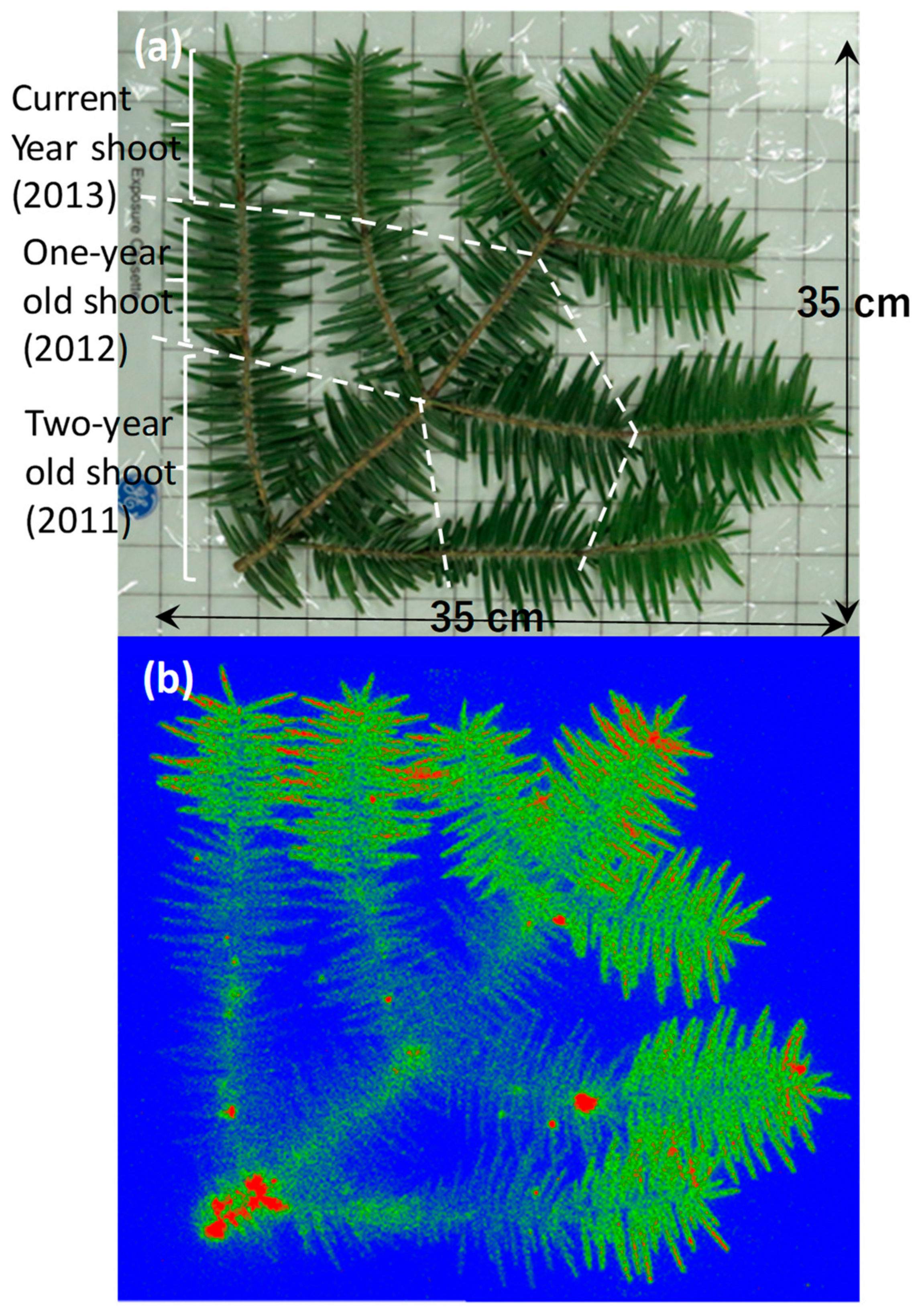 Applsci 09 05209 g012