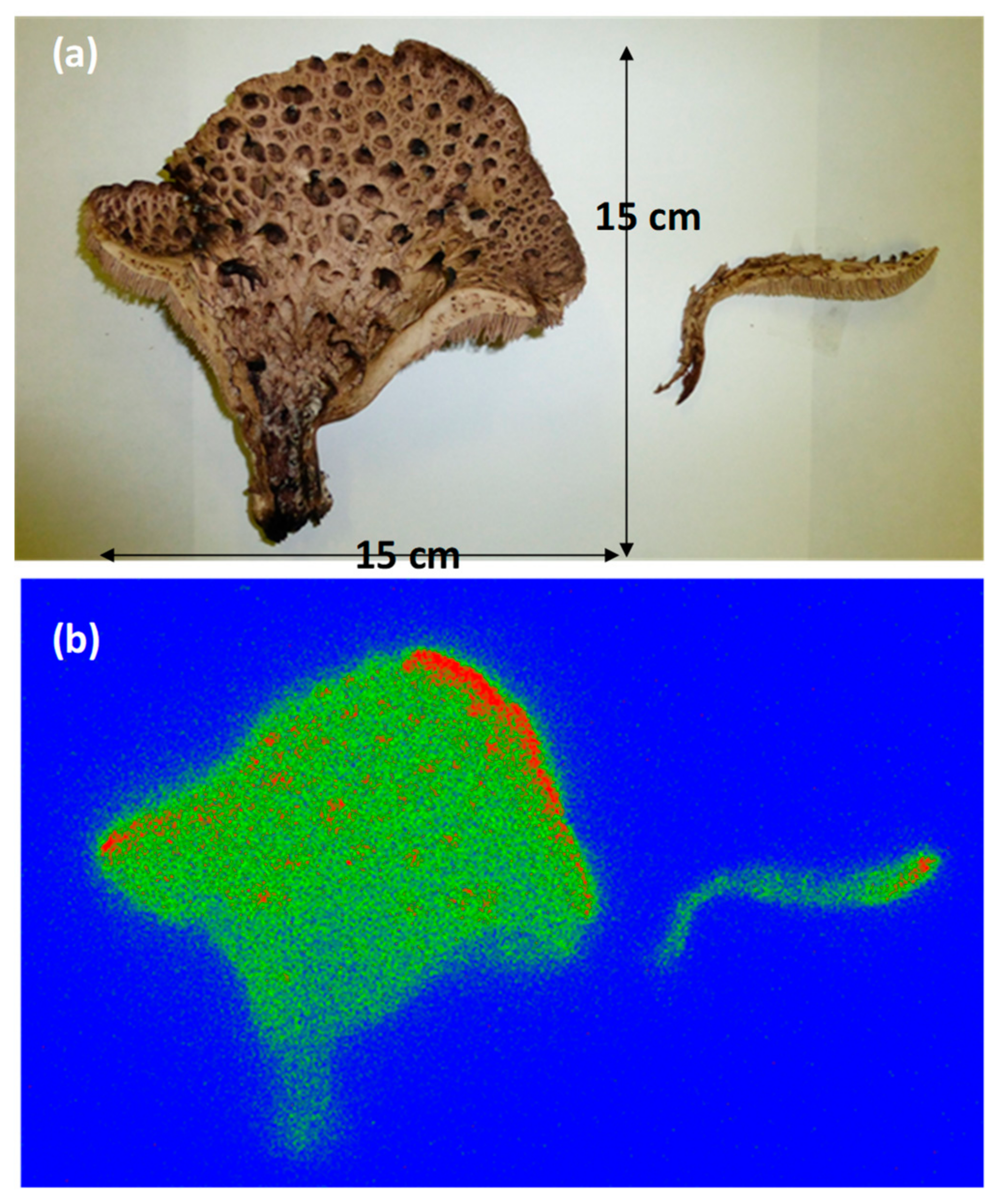 Applsci 09 05209 g013