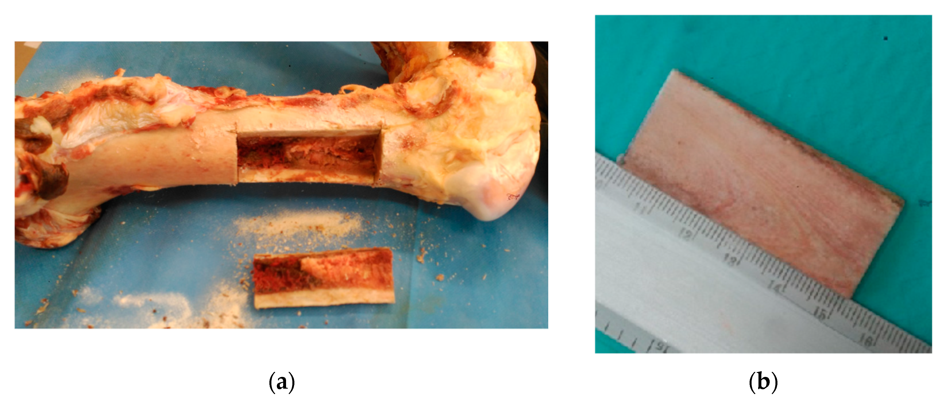 Applsci 09 05228 g001a