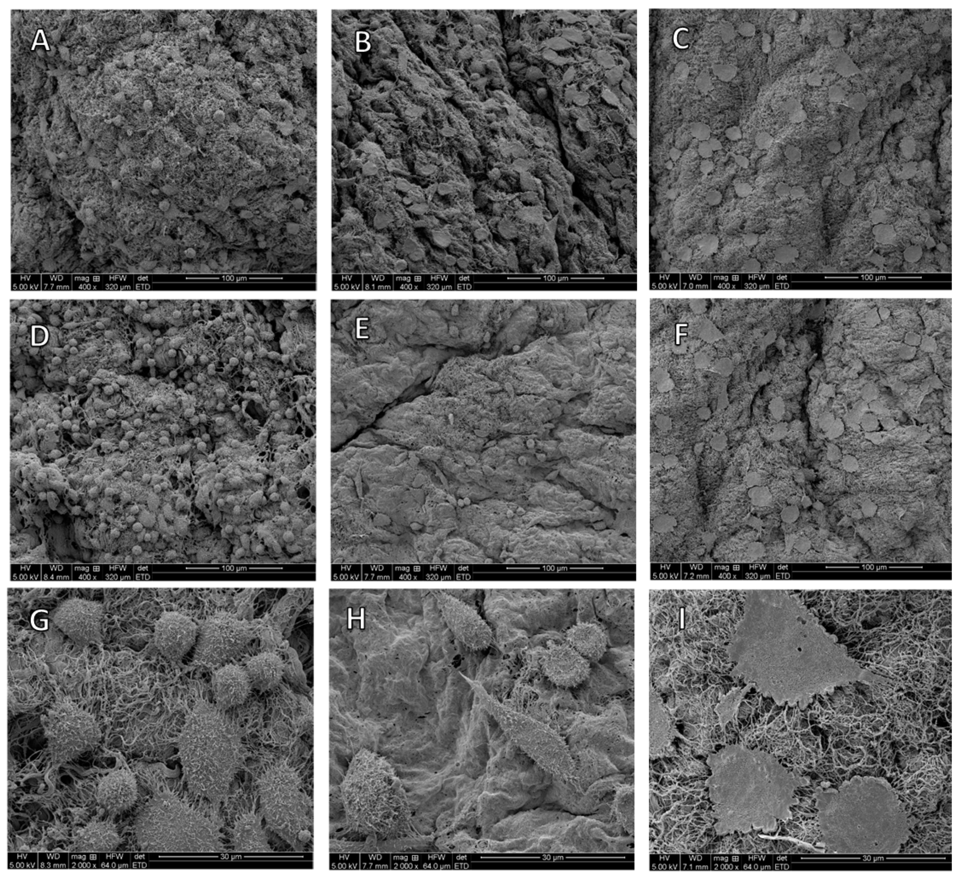 Applsci 09 05231 g004