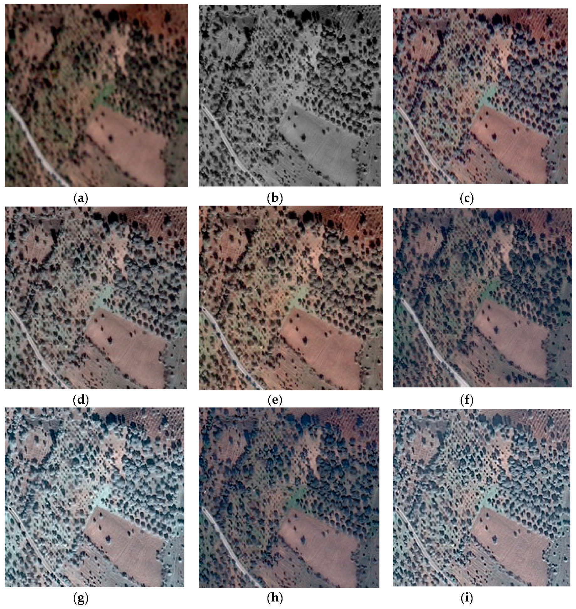 Applsci 09 05234 g0a2