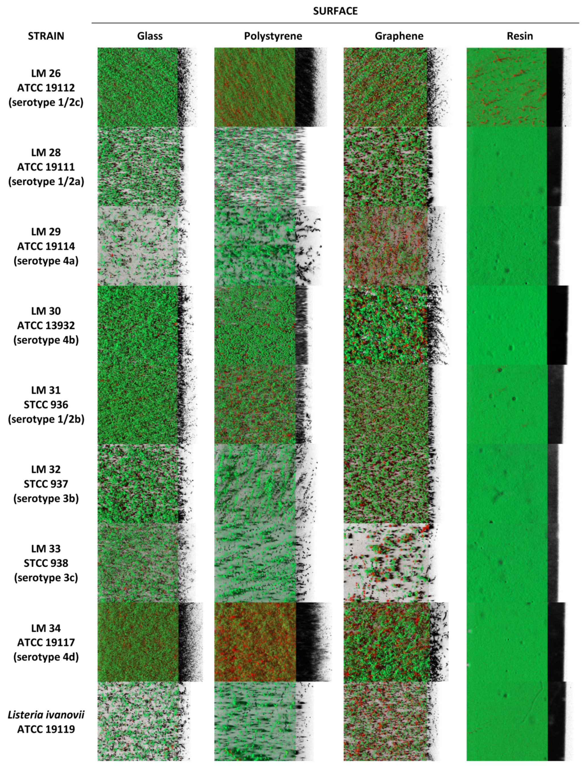 Applsci 09 05256 g001