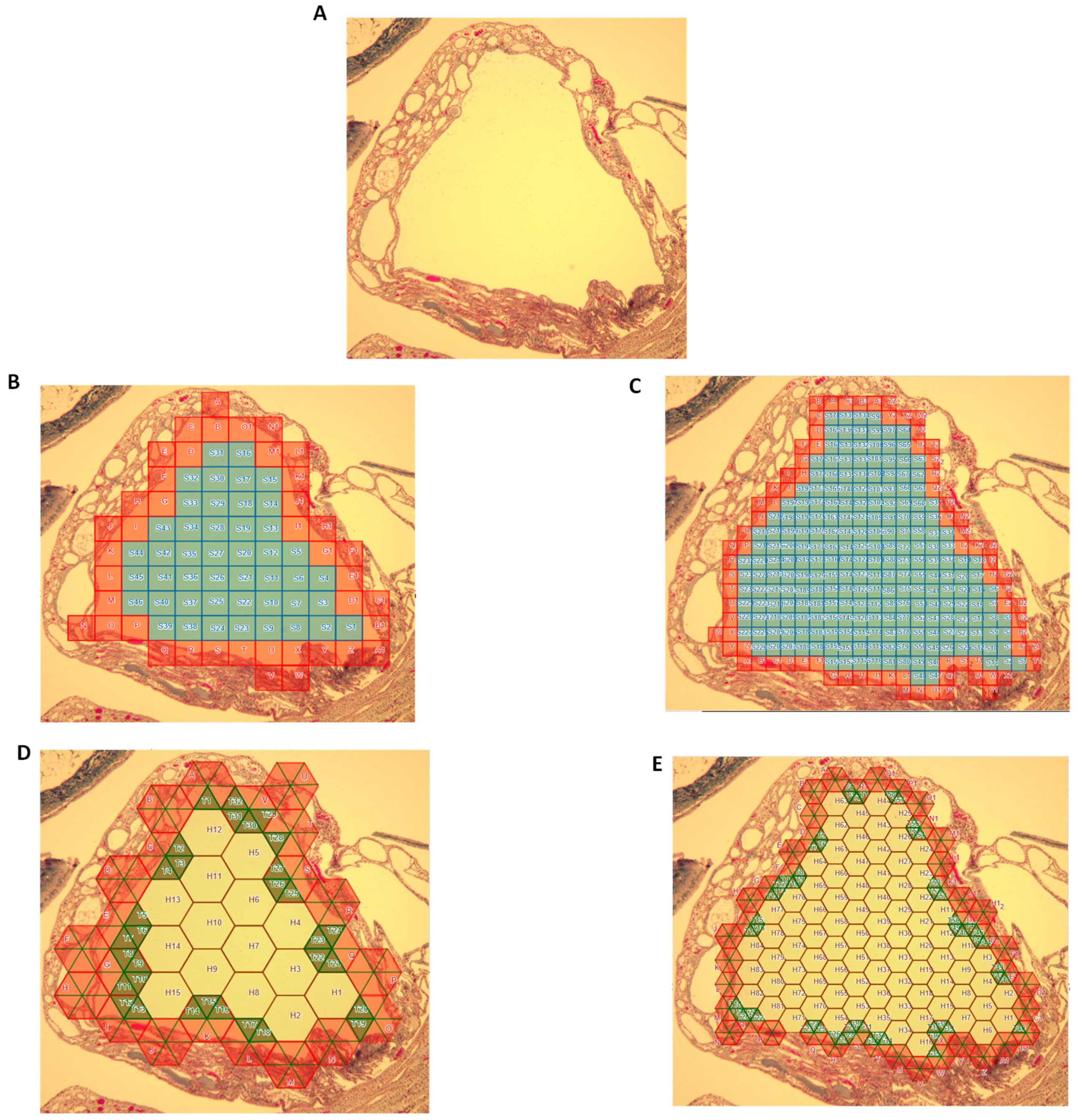 Applsci 09 05267 g005