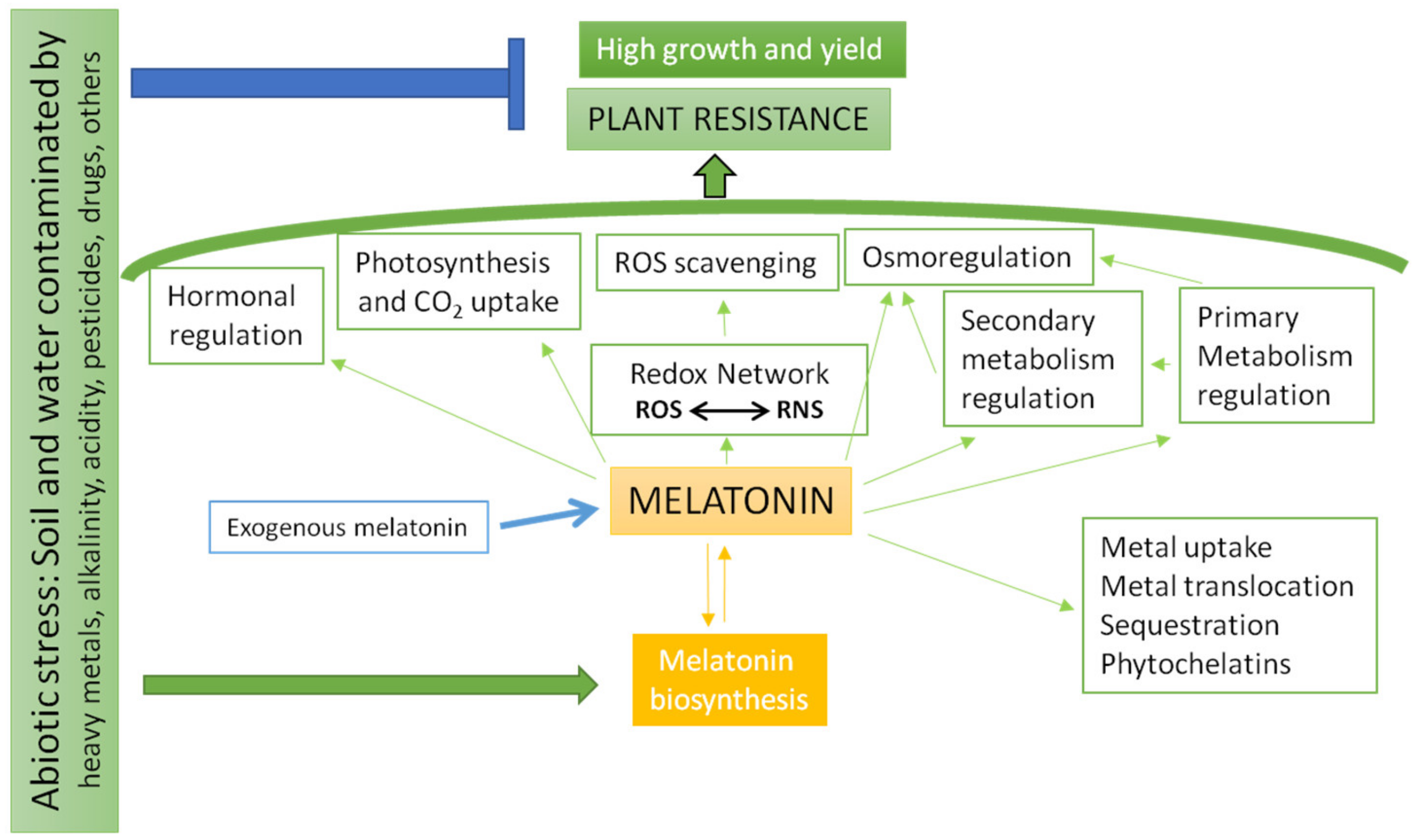 Applied Sciences Free Full Text Role Of Melatonin To Enhance Phytoremediation Capacity Html