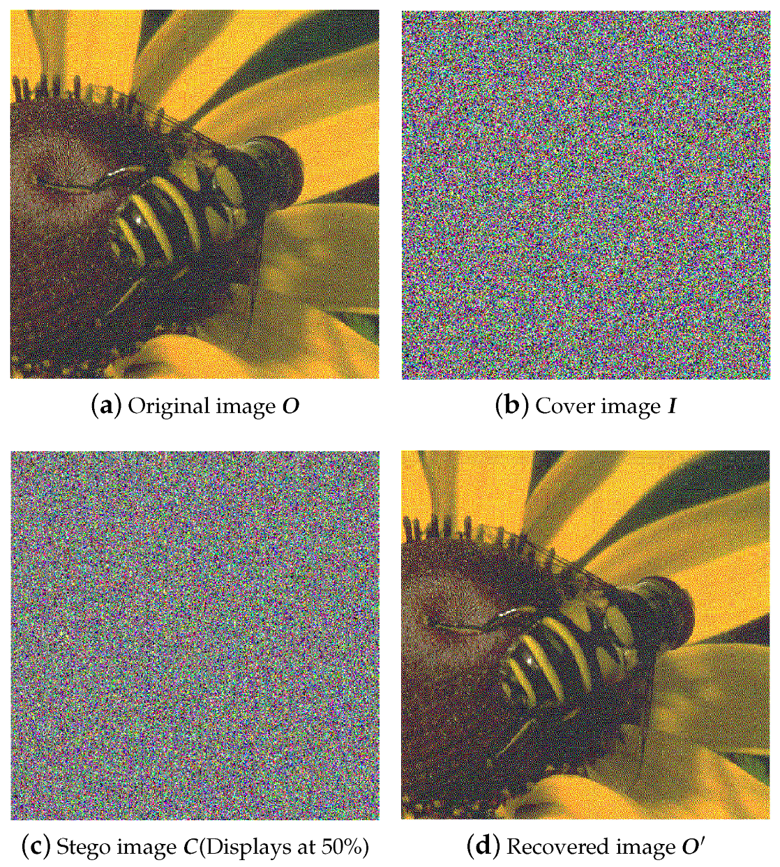 Applsci 09 05311 g006 Applsci 09 05311 g006