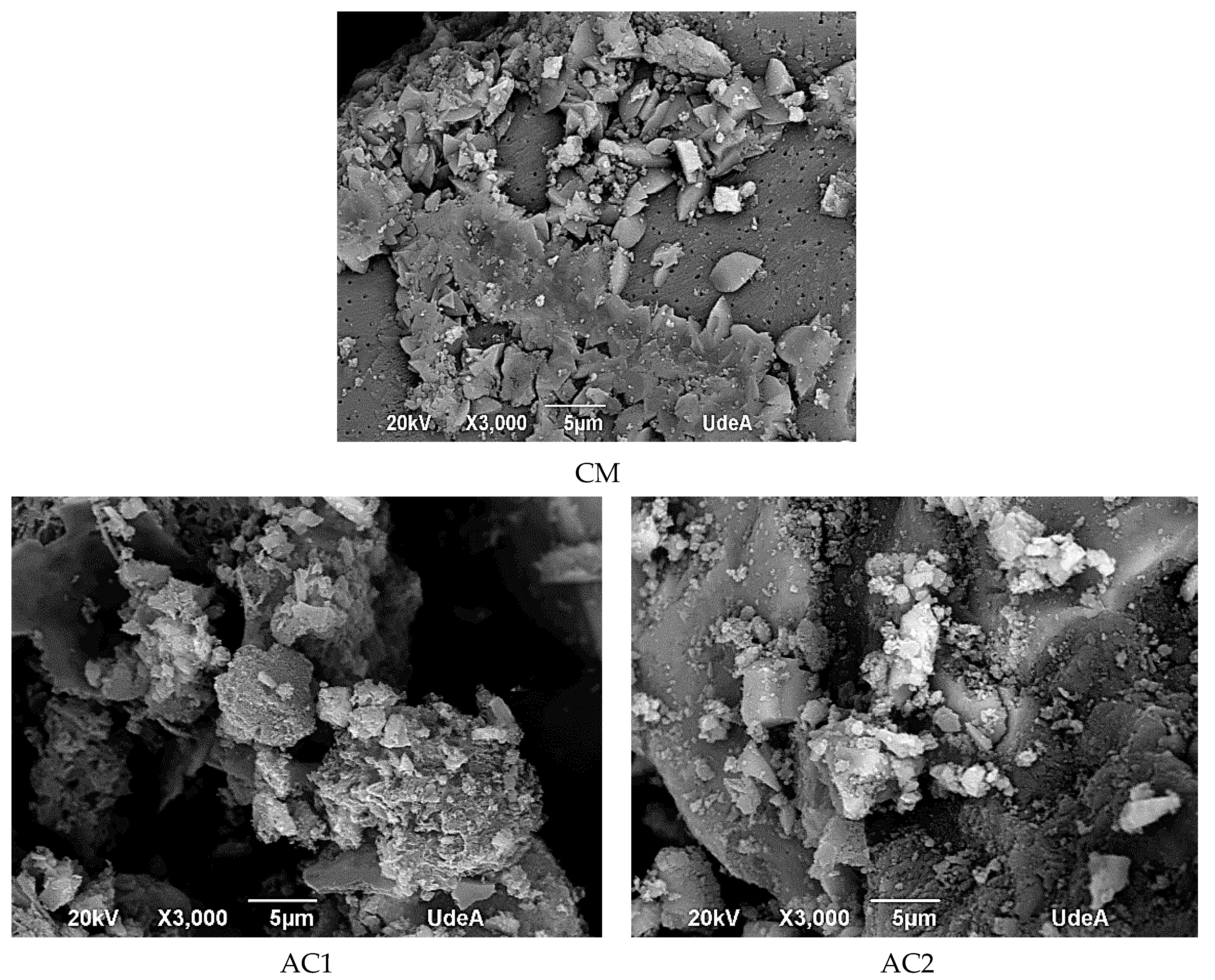 Applsci 09 05337 g001b