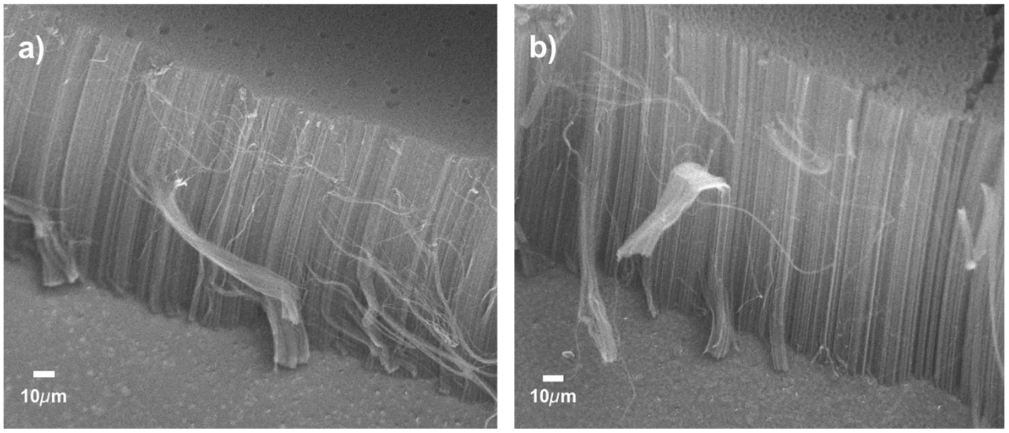 Applsci 09 05342 g001