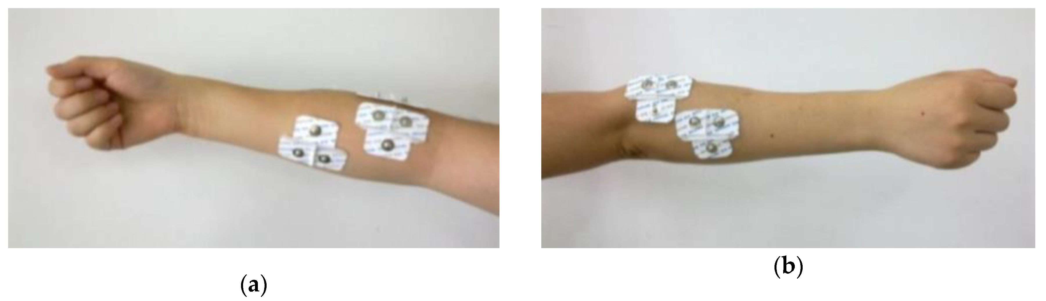 Applsci 09 05343 g001 Applsci 09 05343 g001