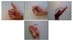 Applsci 09 05343 i011 Applsci 09 05343 i011