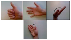 Applsci 09 05343 i013 Applsci 09 05343 i013