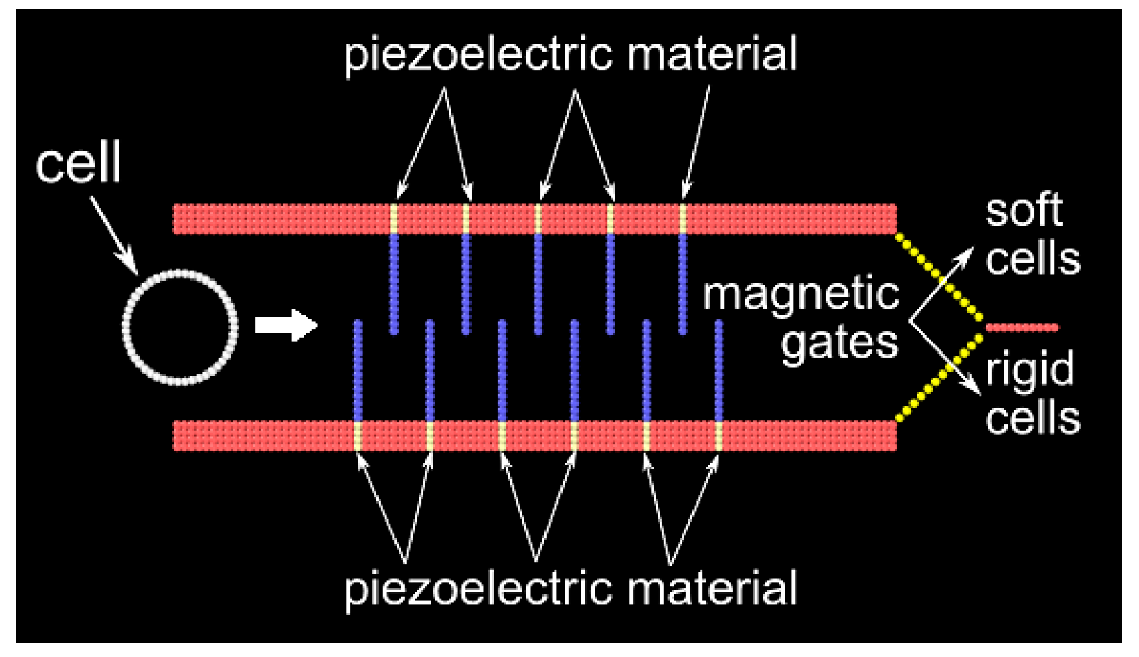 Applsci 09 05369 g006