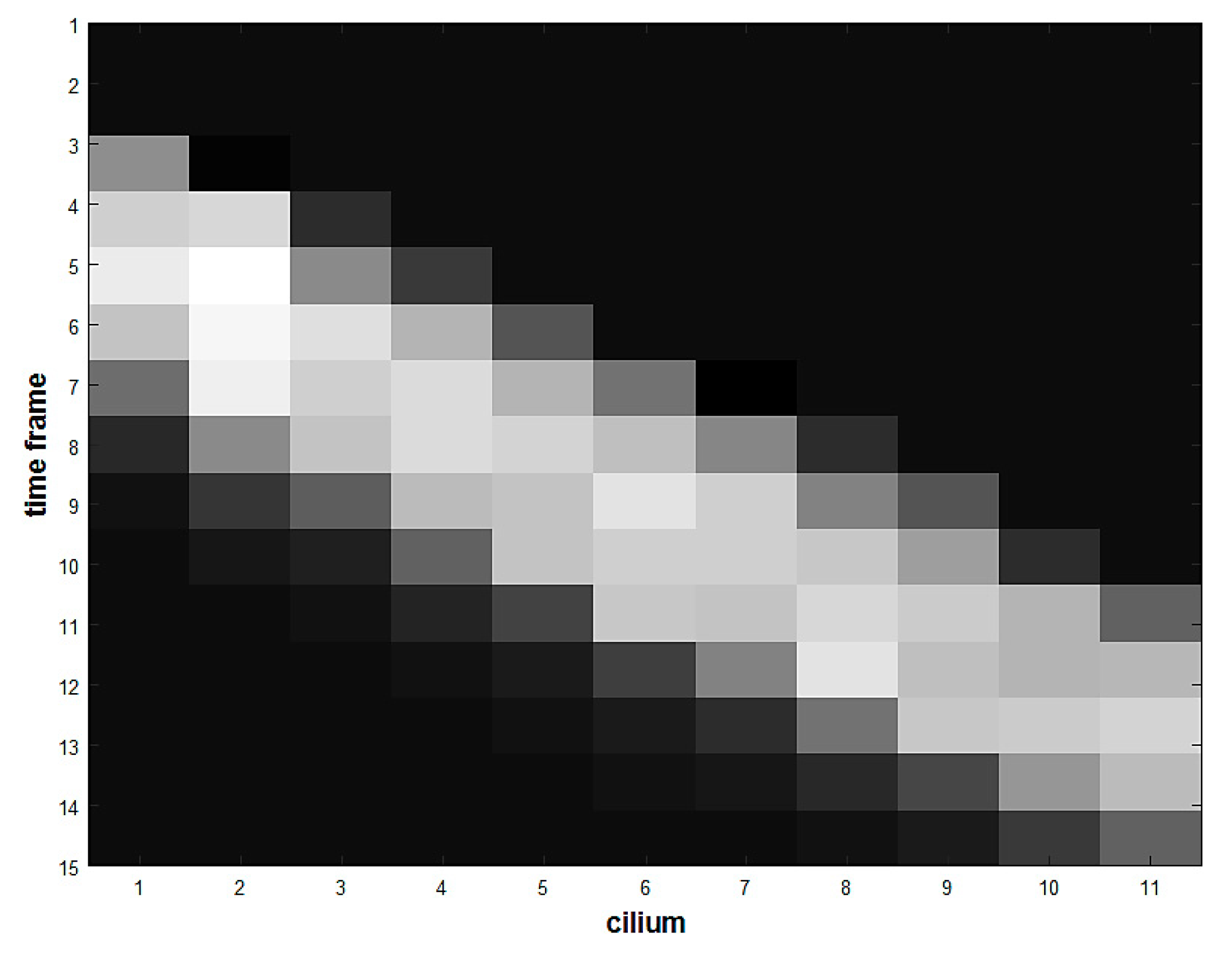 Applsci 09 05369 g009