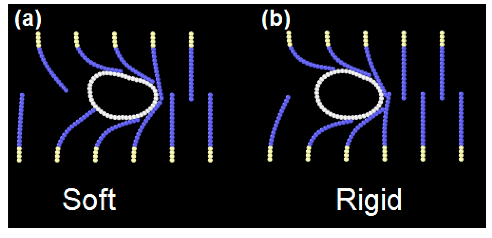 Applsci 09 05369 g013