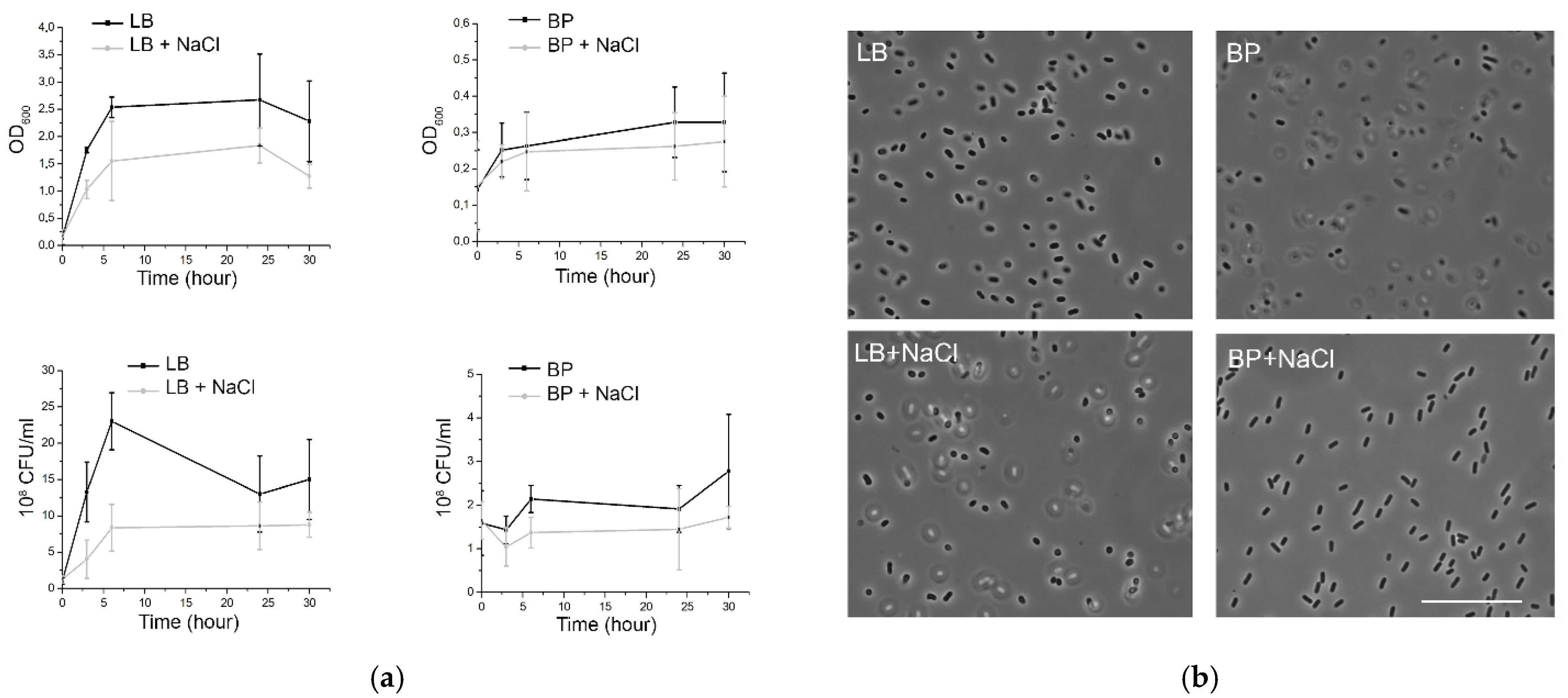 Applsci 09 05392 g001