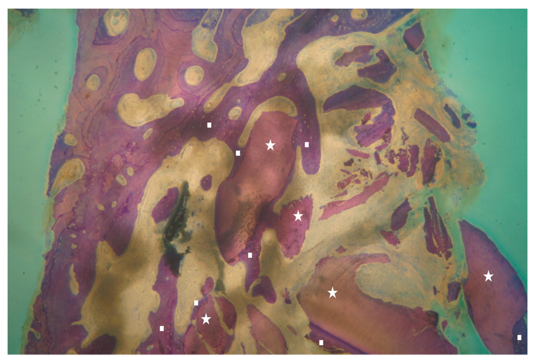 Applsci 09 05396 g006 Applsci 09 05396 g006