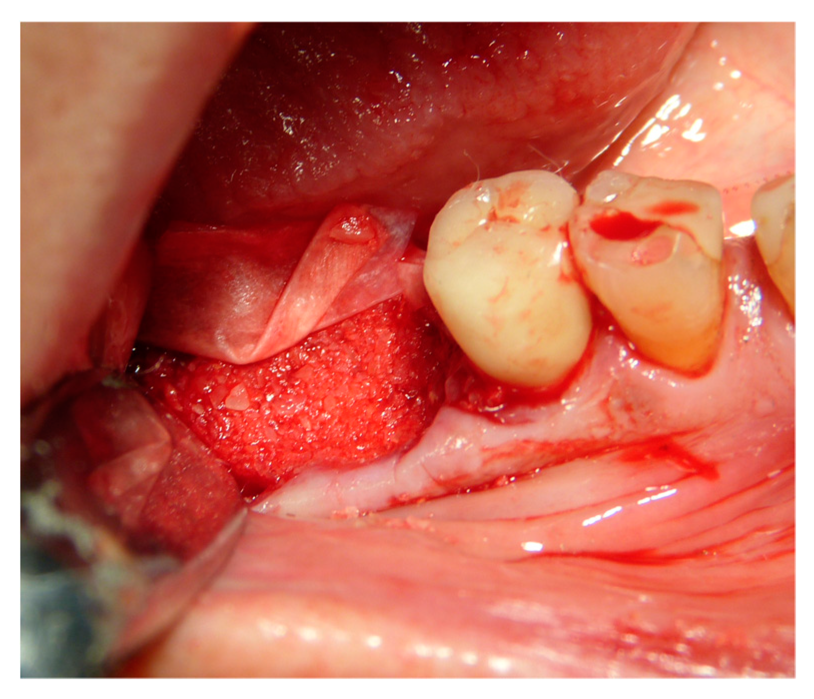 Applsci 09 05396 g008 Applsci 09 05396 g008