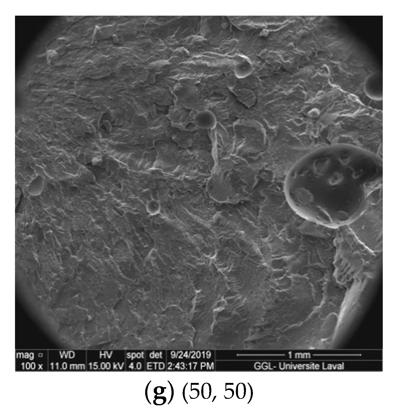 Applsci 09 05430 g006b