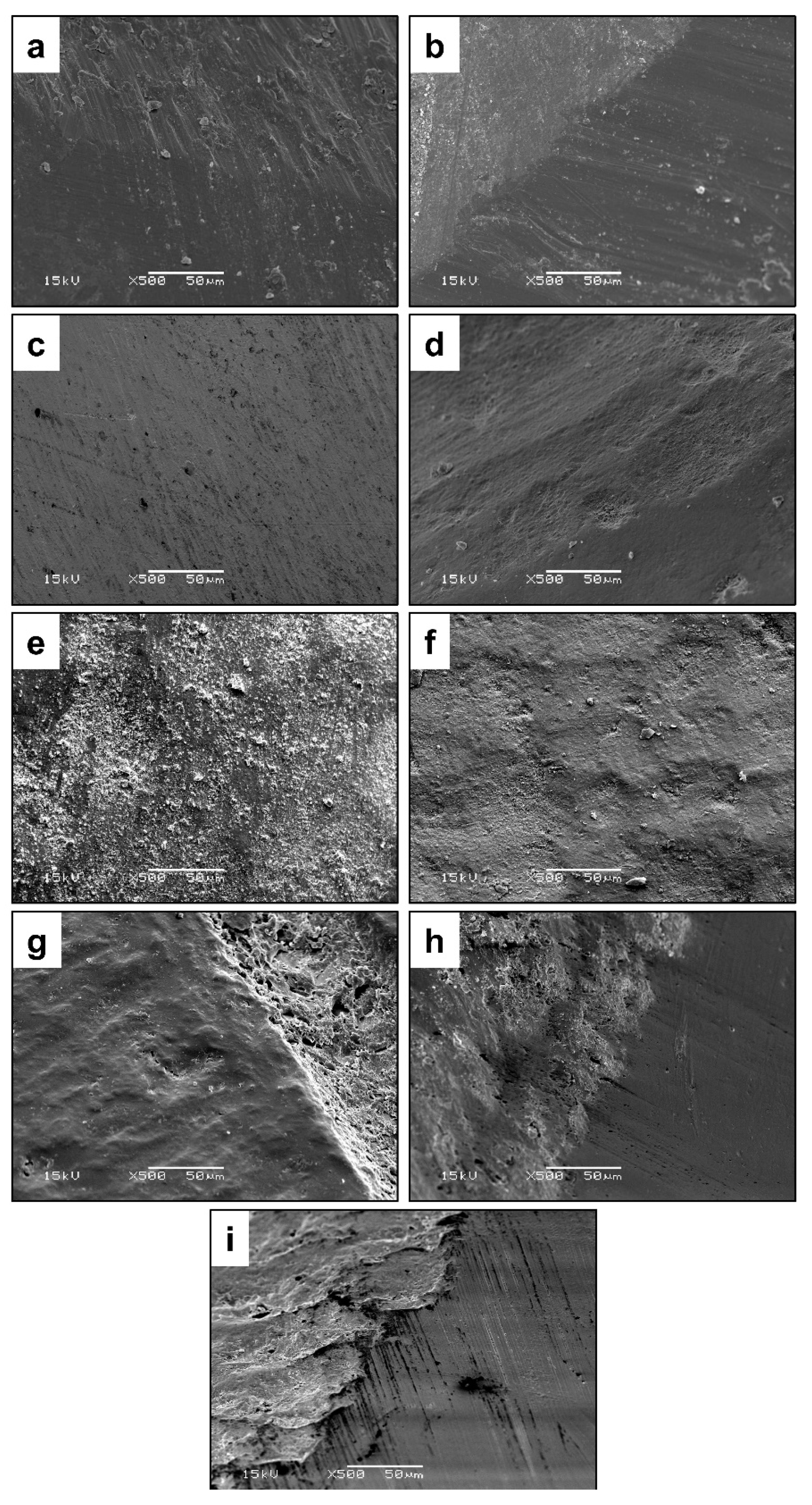 Applsci 09 05455 g013