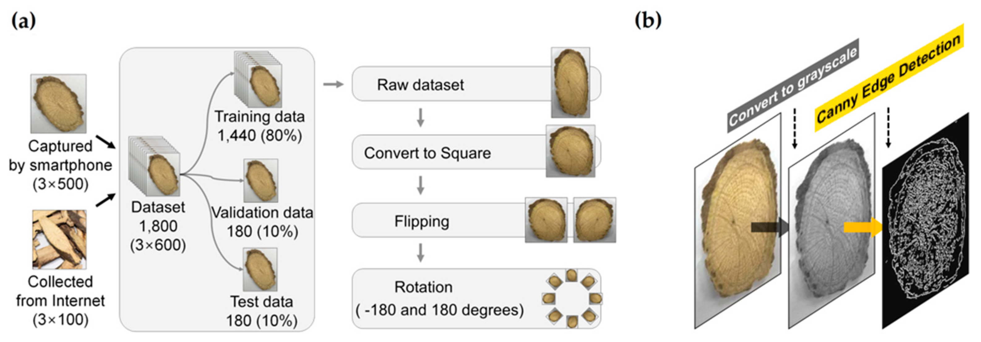 Applsci 09 05456 g002