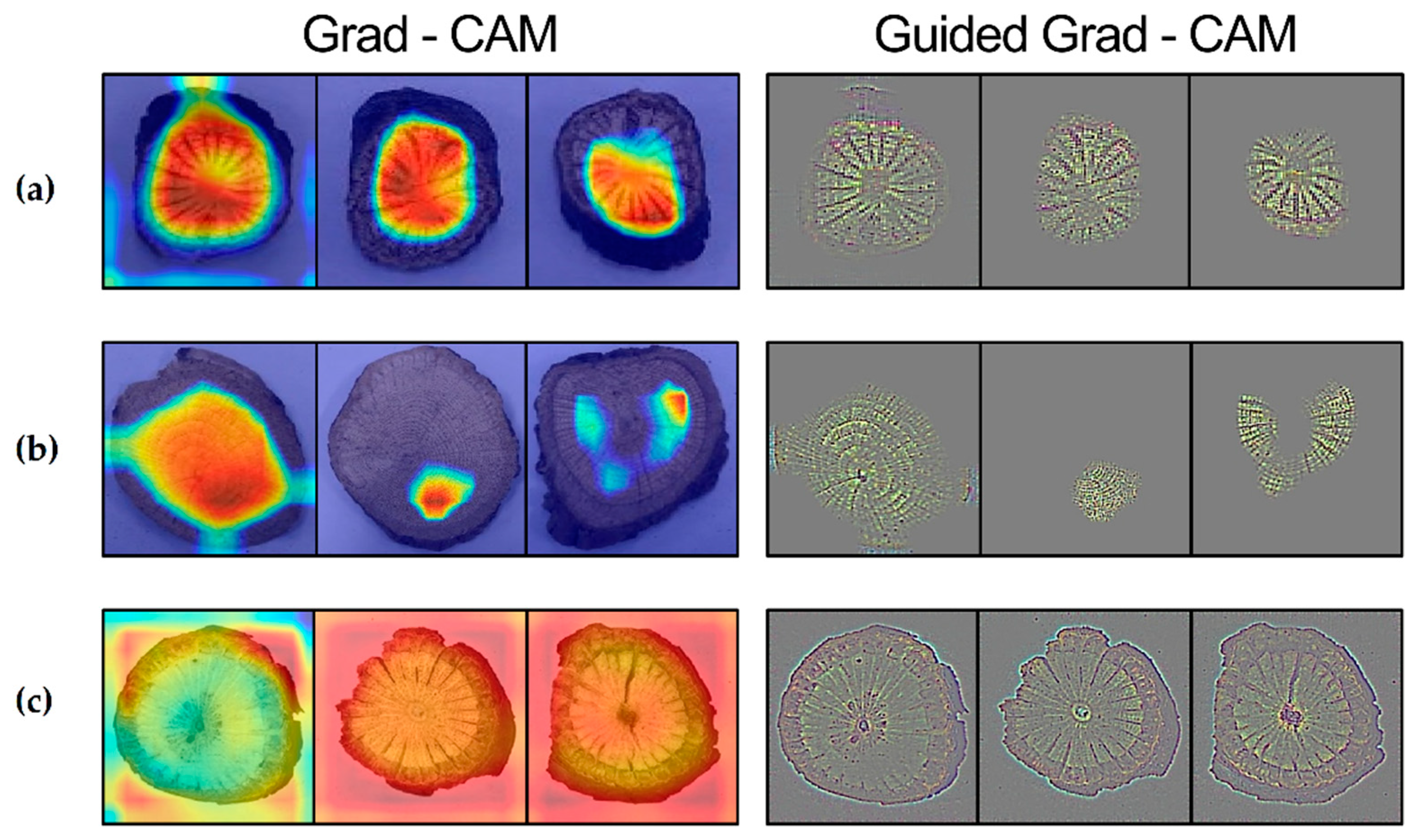 Applsci 09 05456 g005
