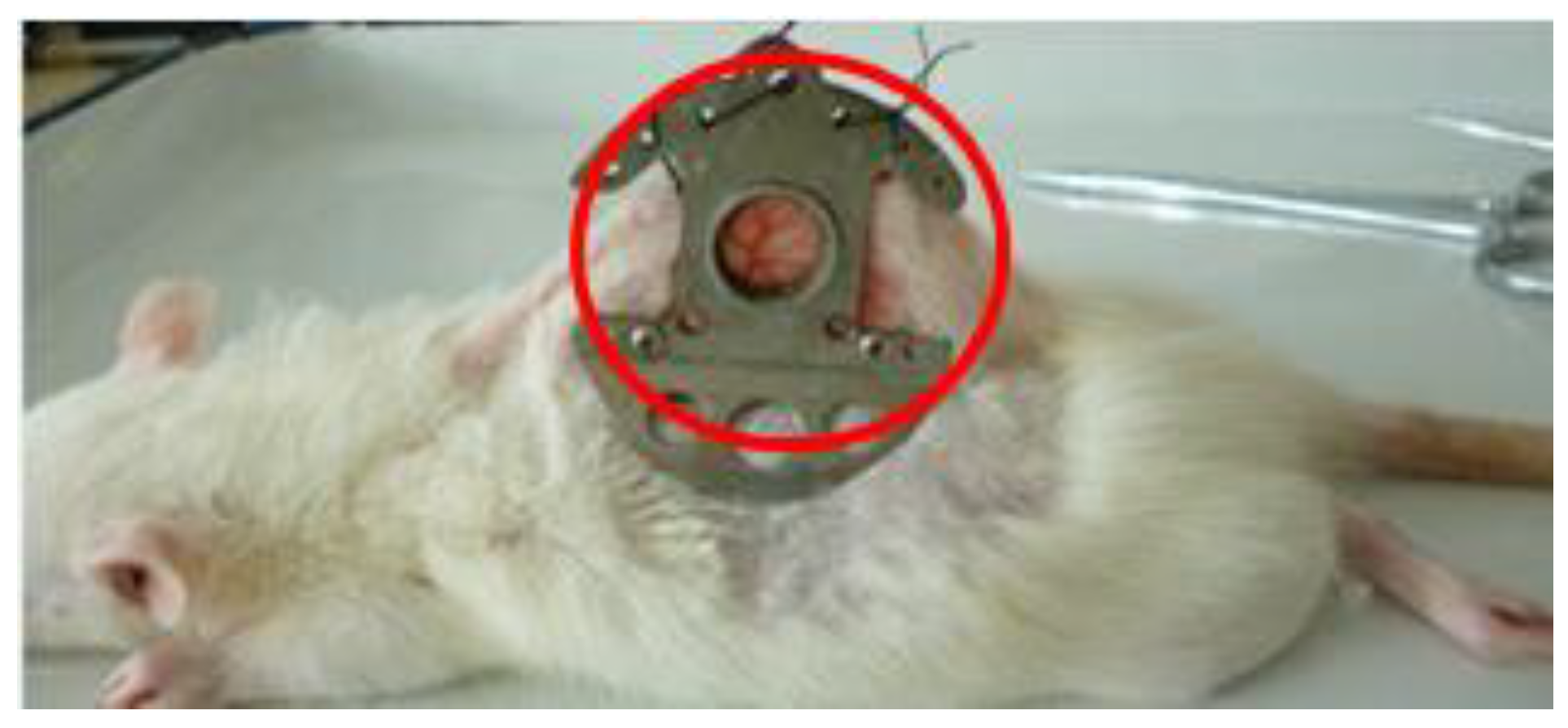 Applsci 09 05478 g003 Applsci 09 05478 g003