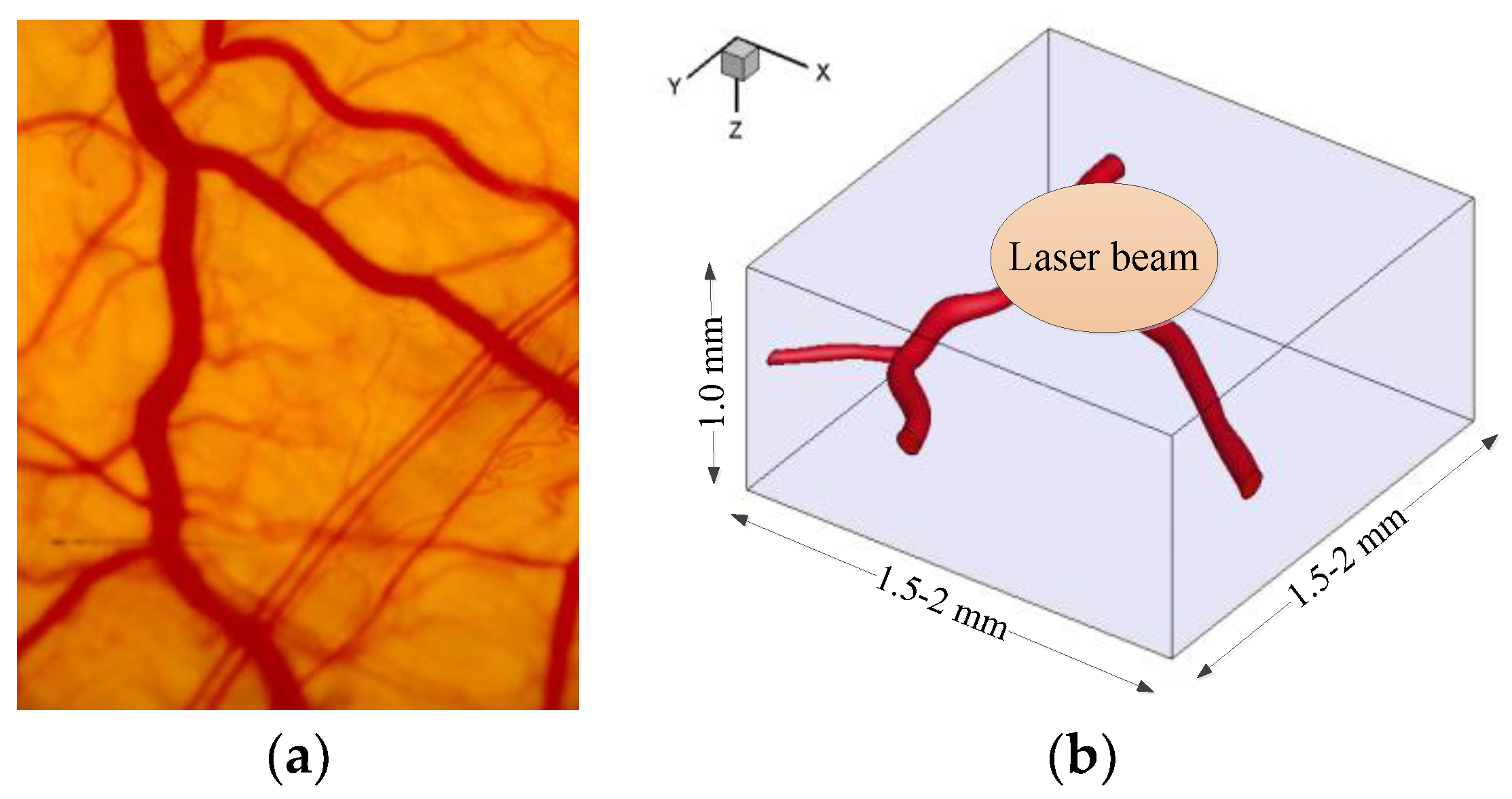 Applsci 09 05478 g005 Applsci 09 05478 g005