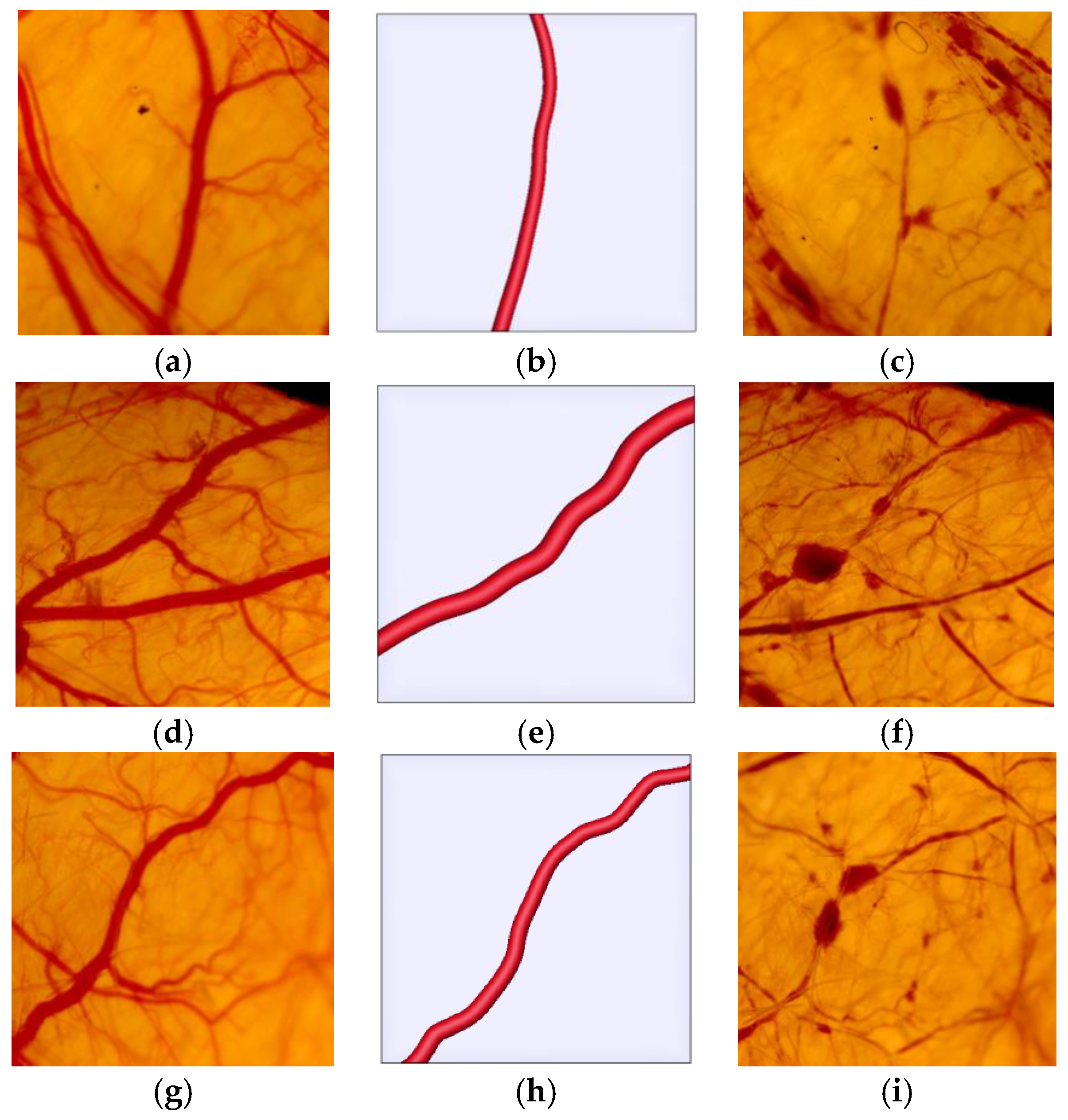 Applsci 09 05478 g008 Applsci 09 05478 g008