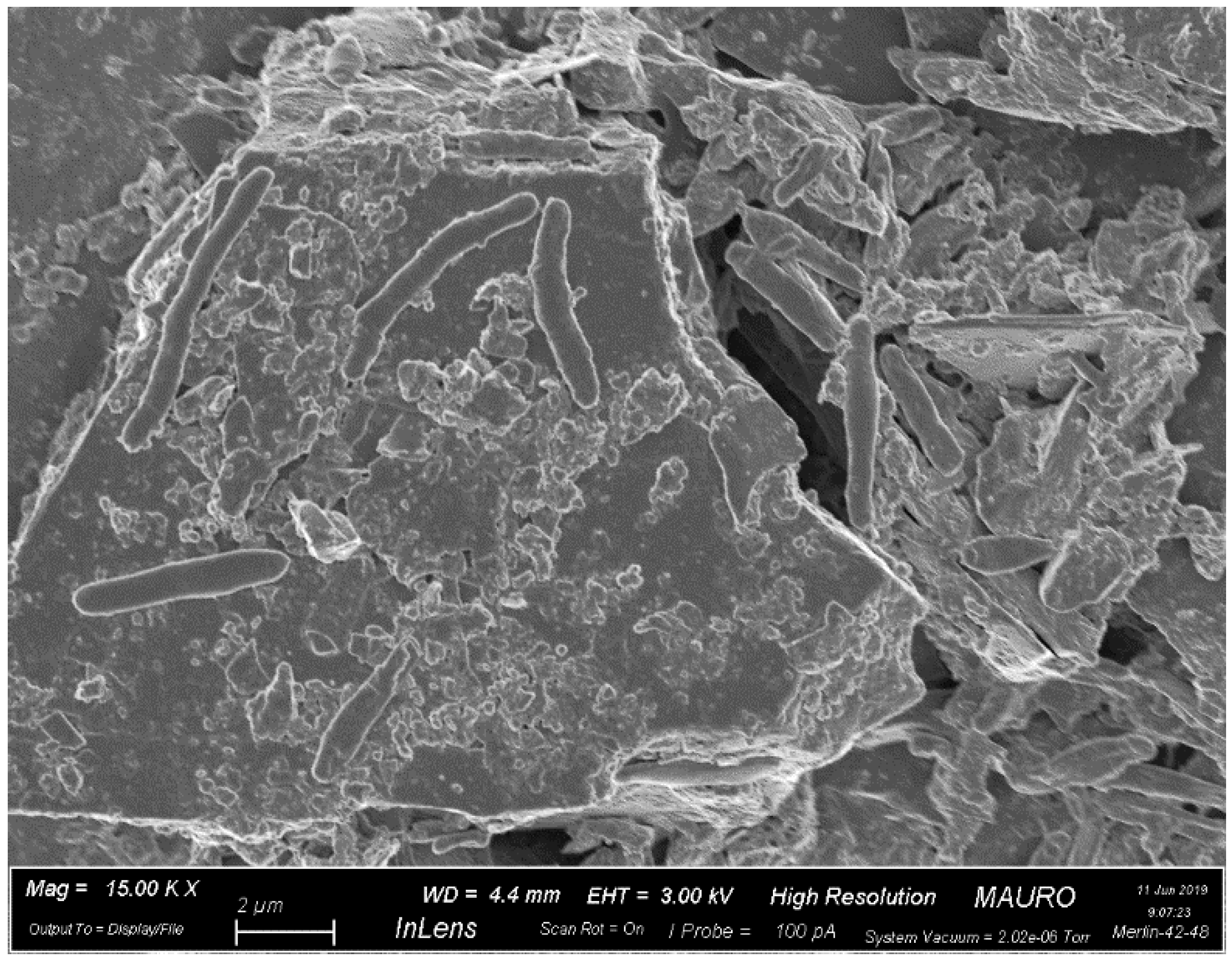 Applsci 09 05487 g004