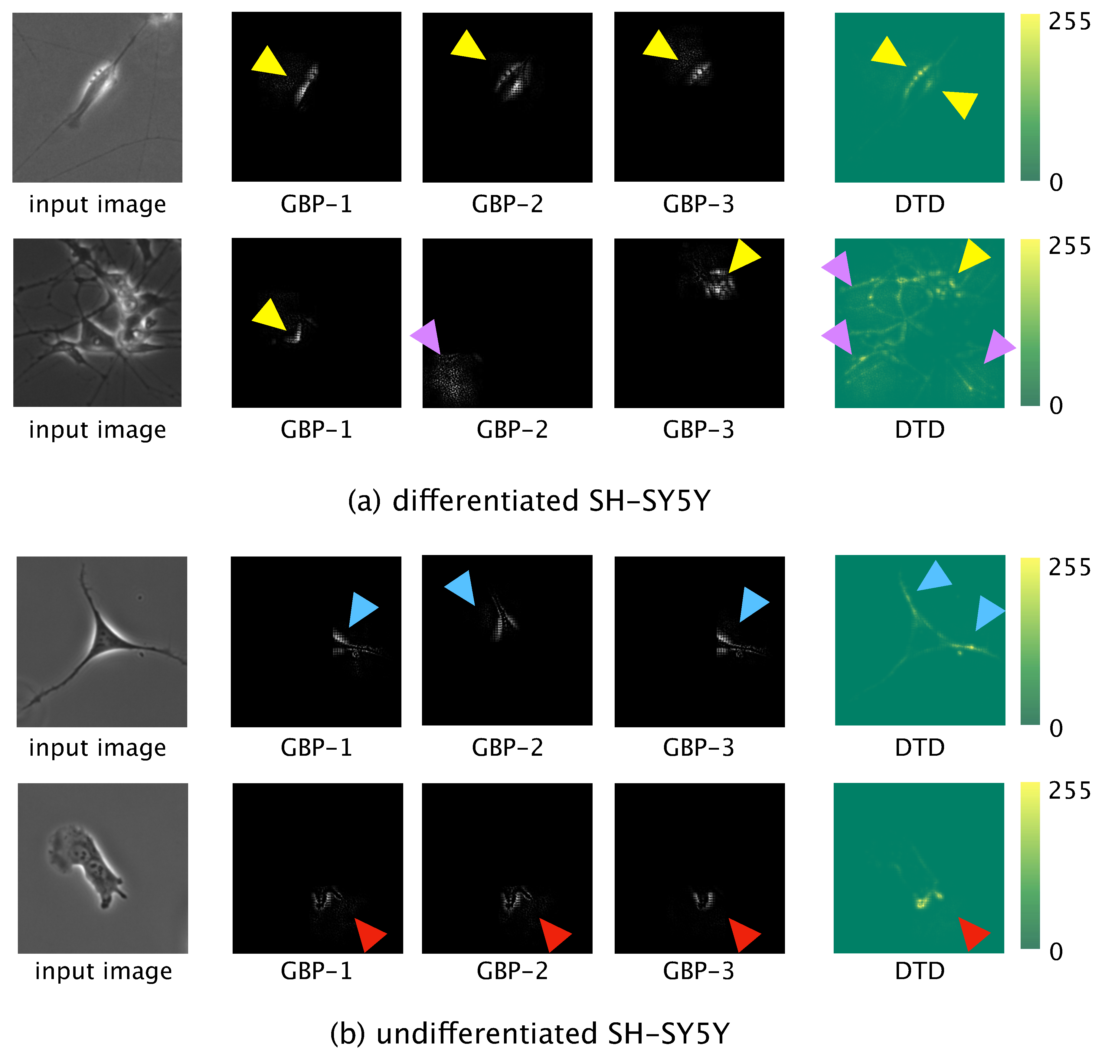 Applsci 09 05503 g005