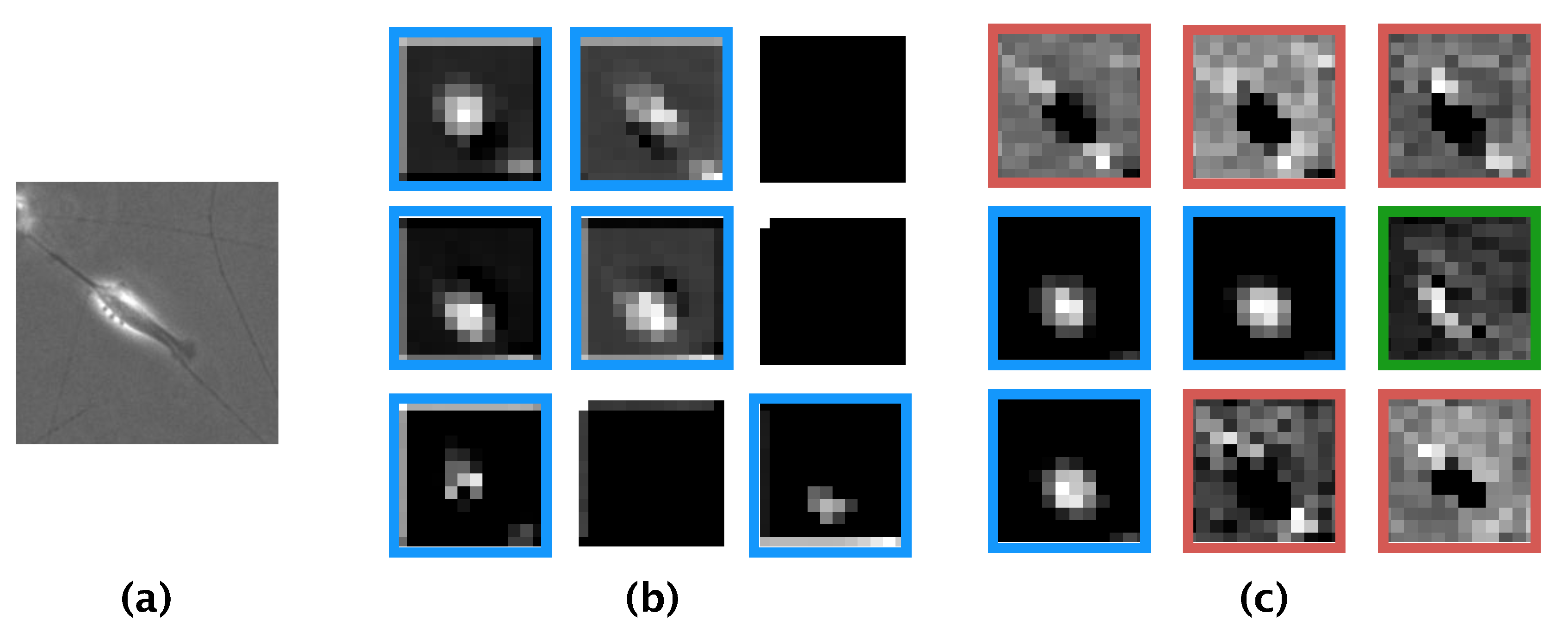 Applsci 09 05503 g008
