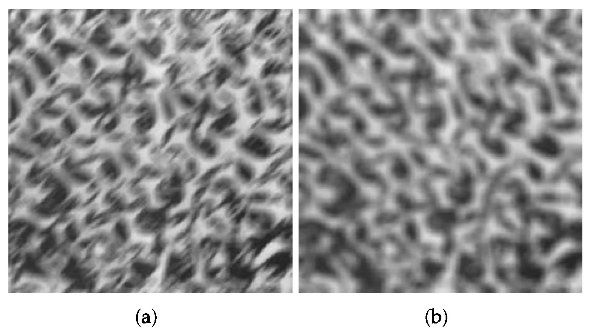 Applsci 09 05509 g008