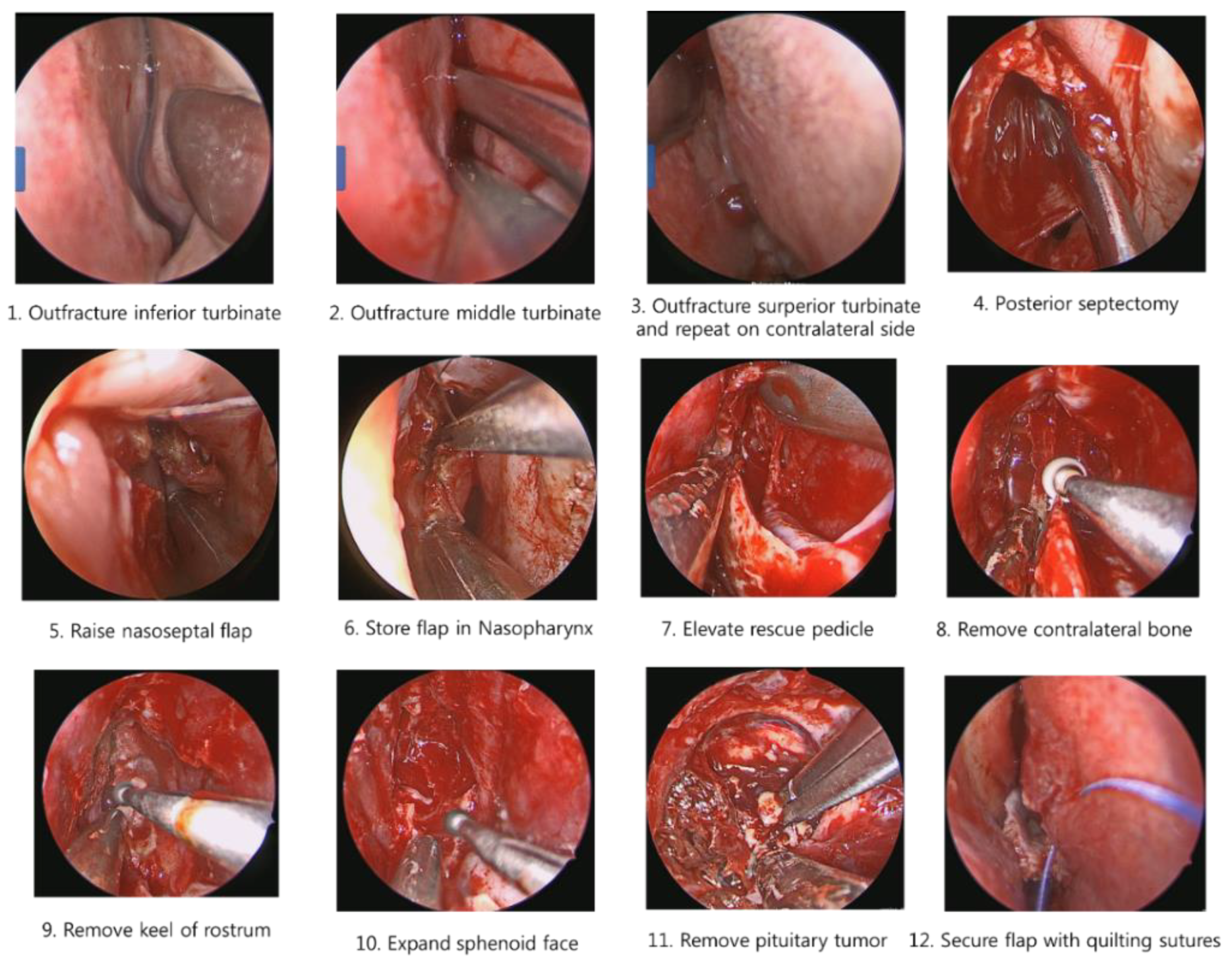 Applsci 09 05540 g002 Applsci 09 05540 g002