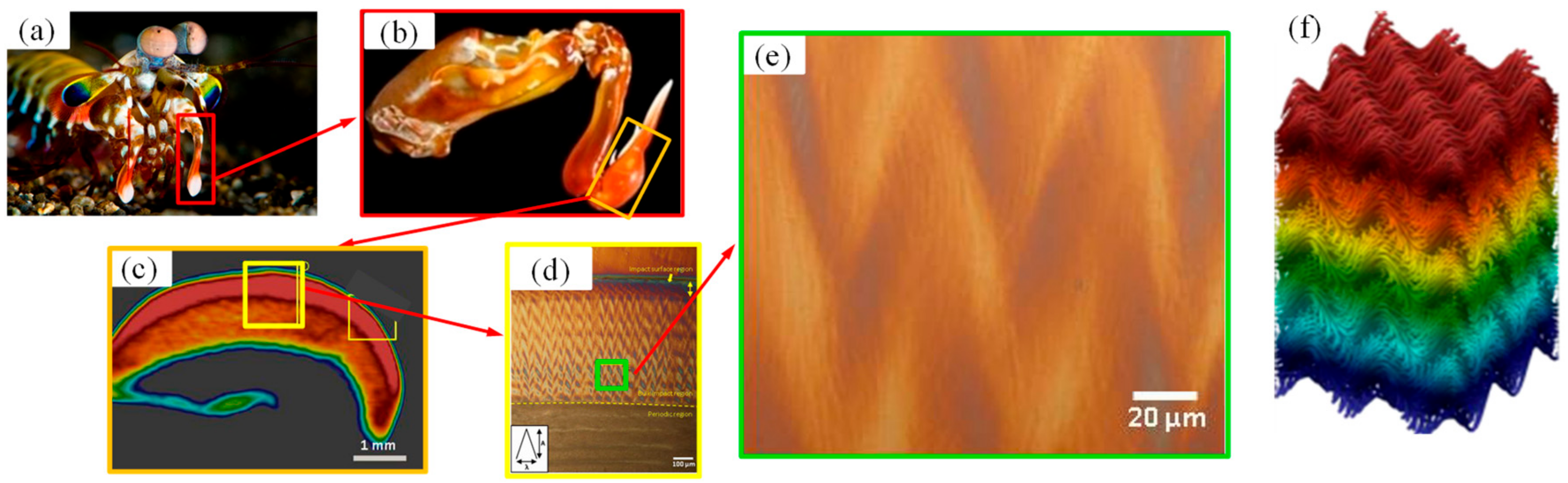 Applsci 09 05541 g002