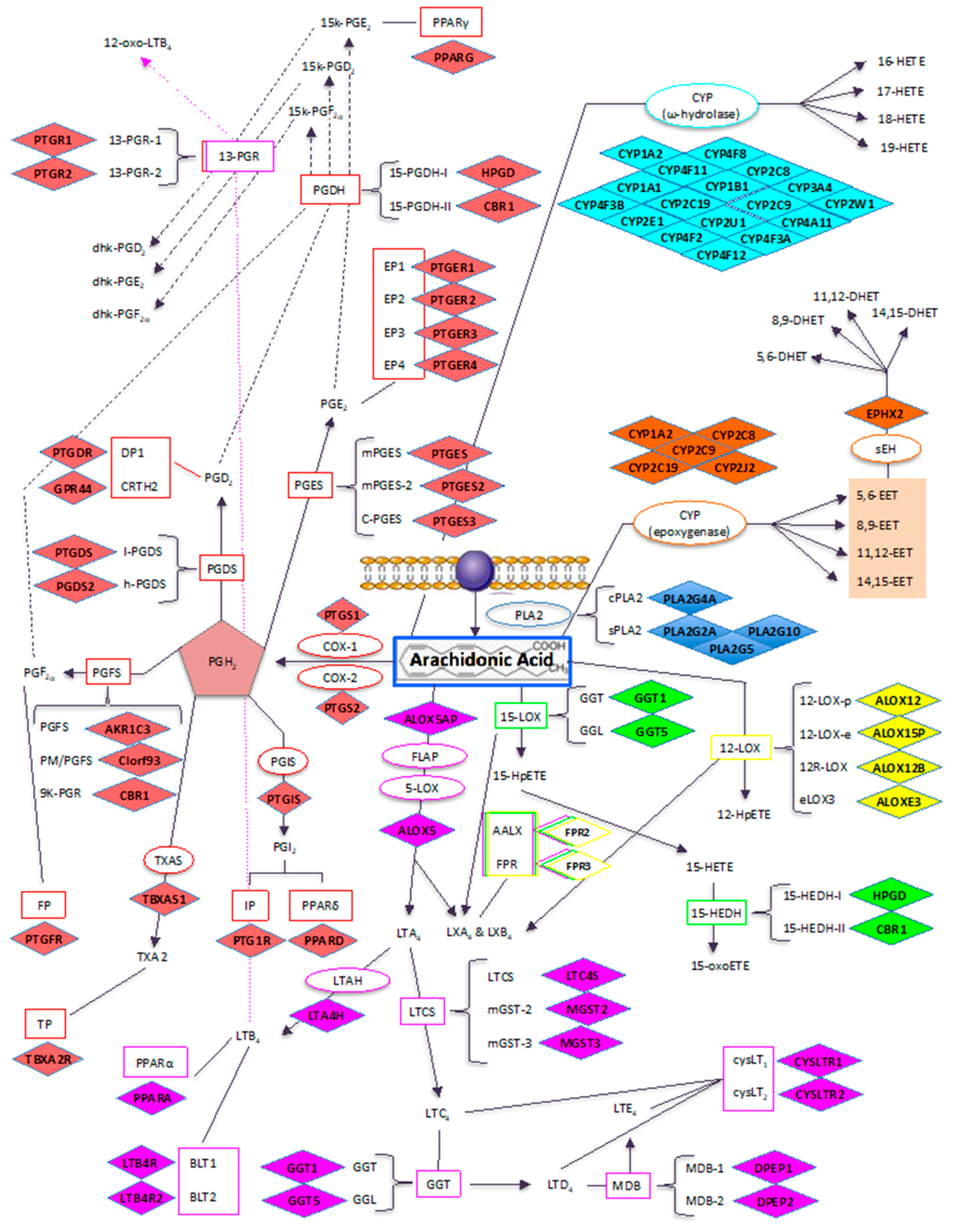 Applsci 09 05552 g002