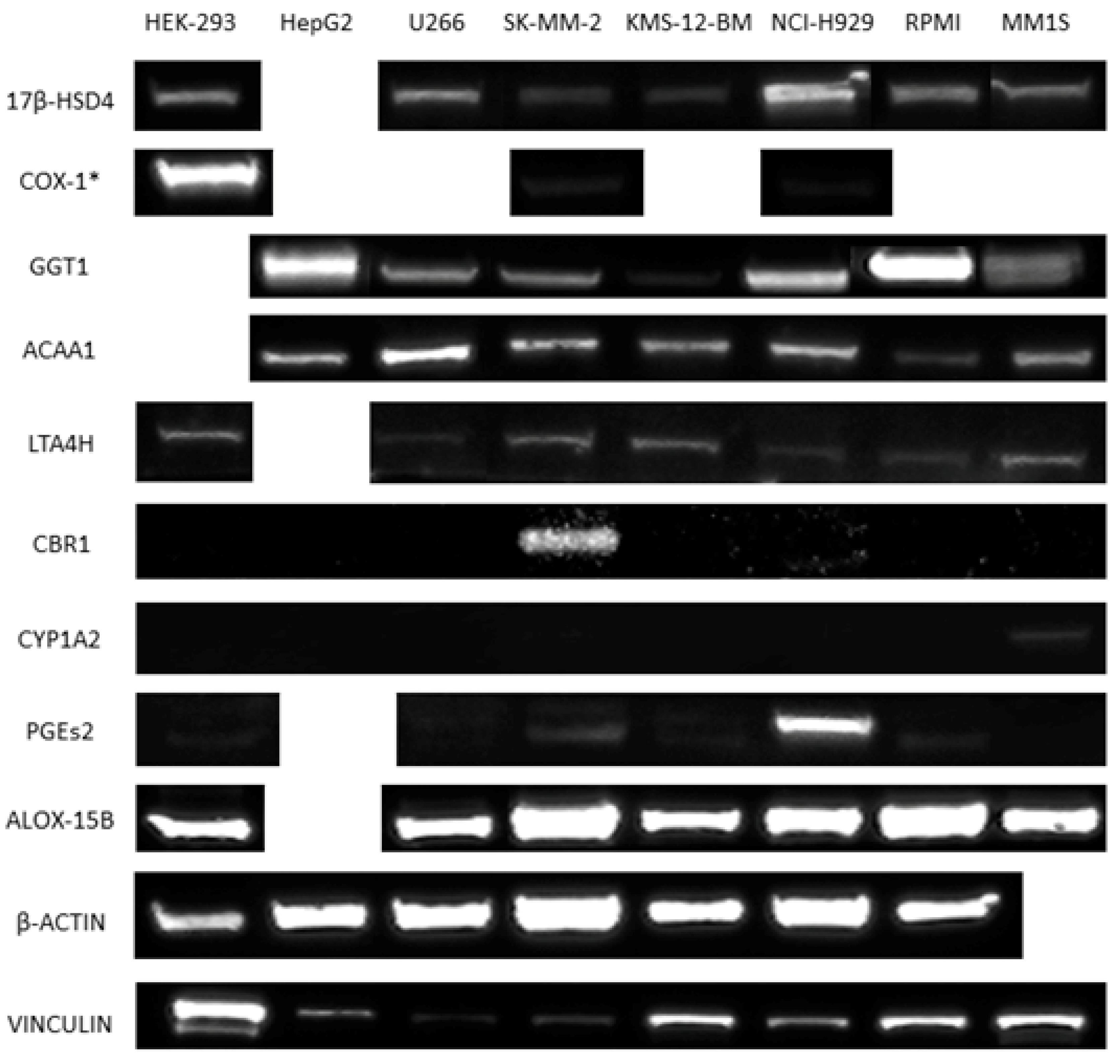 Applsci 09 05552 g009