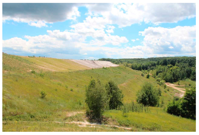 Applsci 09 05559 g001