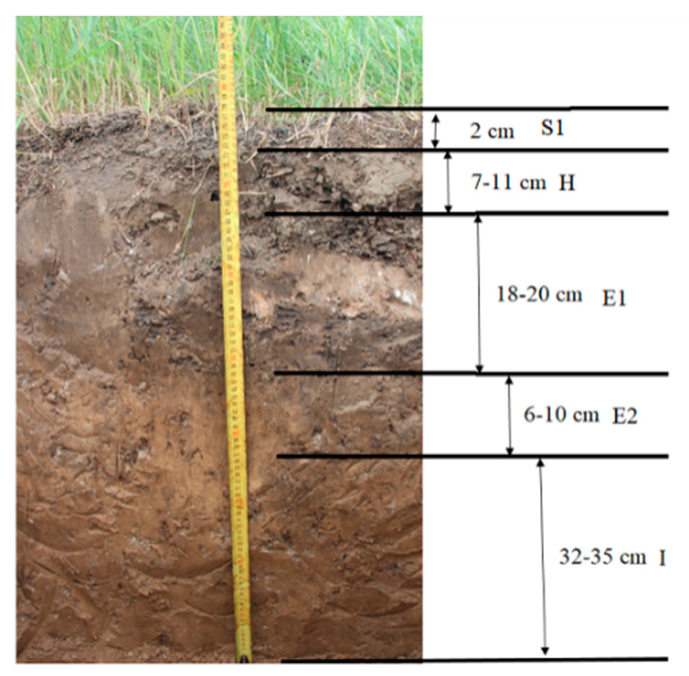Applsci 09 05559 g004