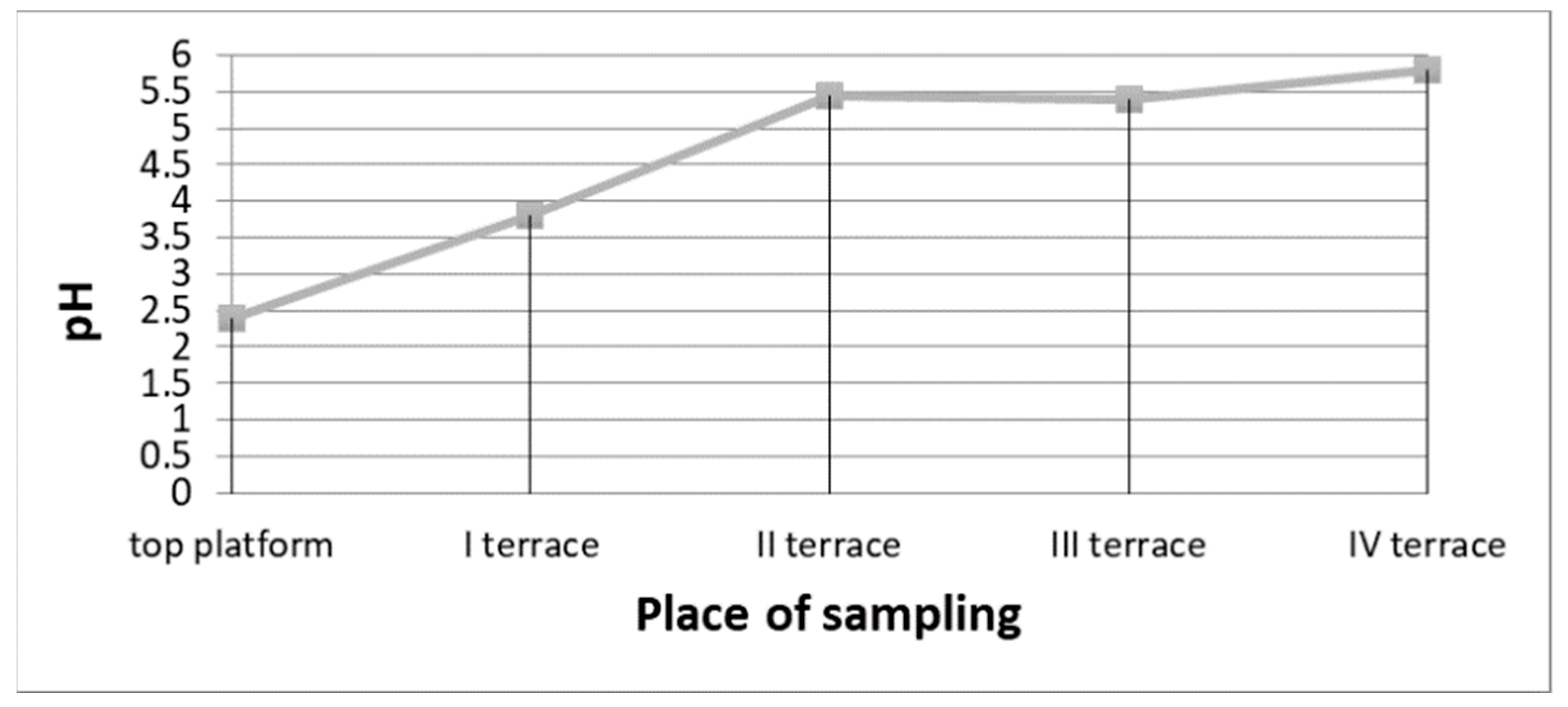 Applsci 09 05559 g008