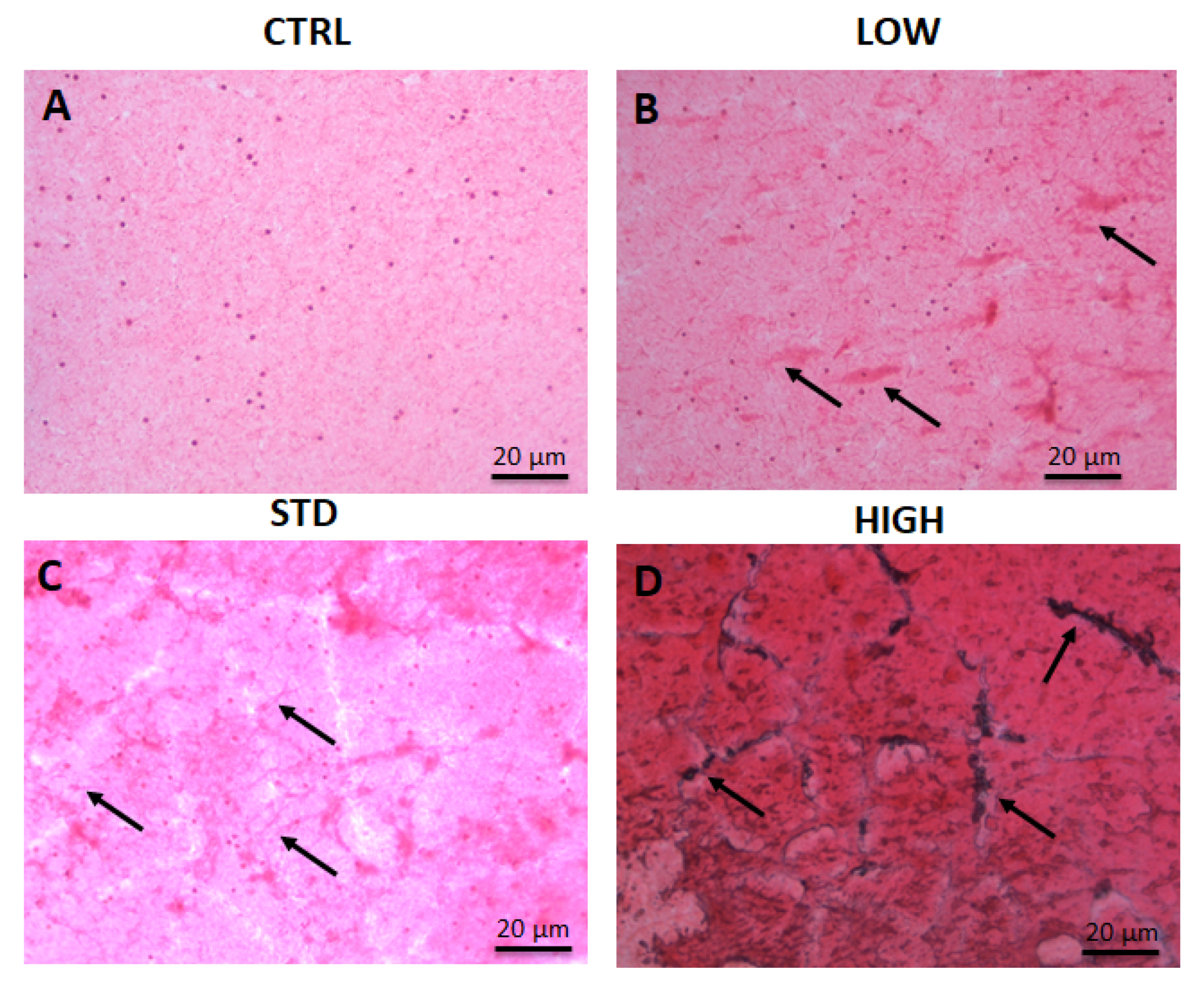 Applsci 09 05560 g002