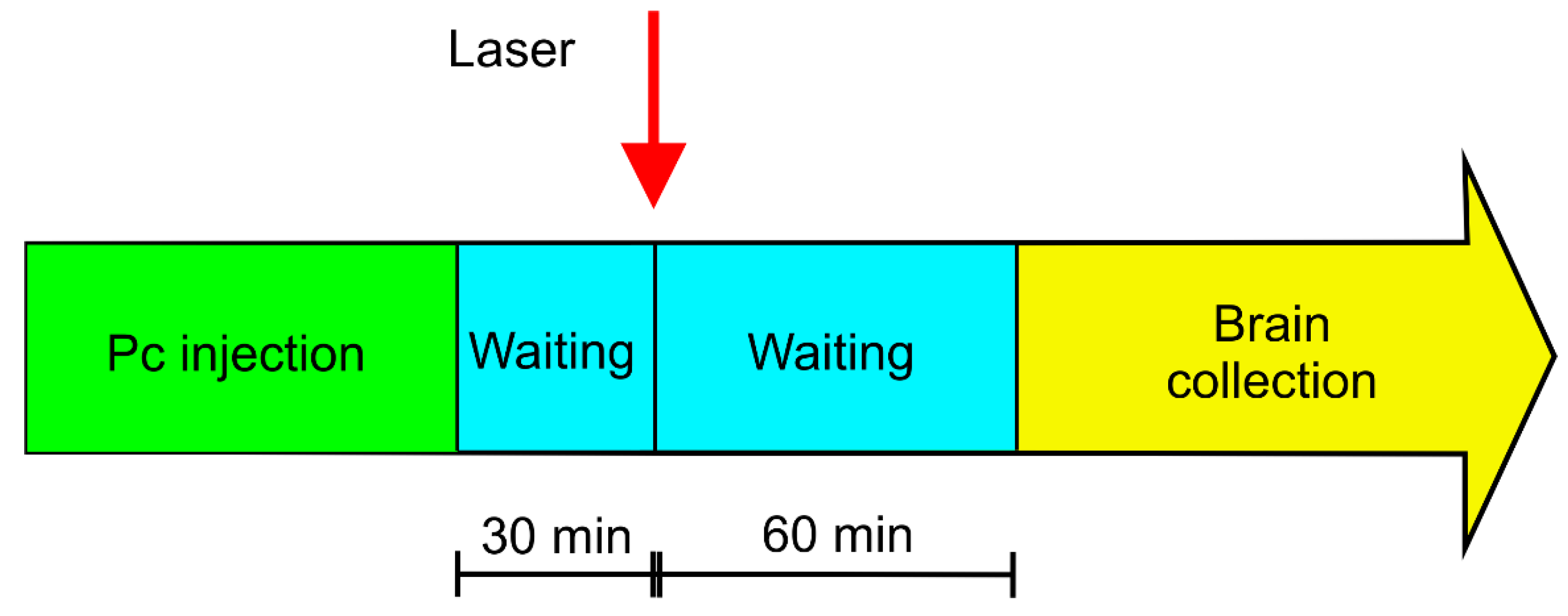 Applsci 10 00033 sch001