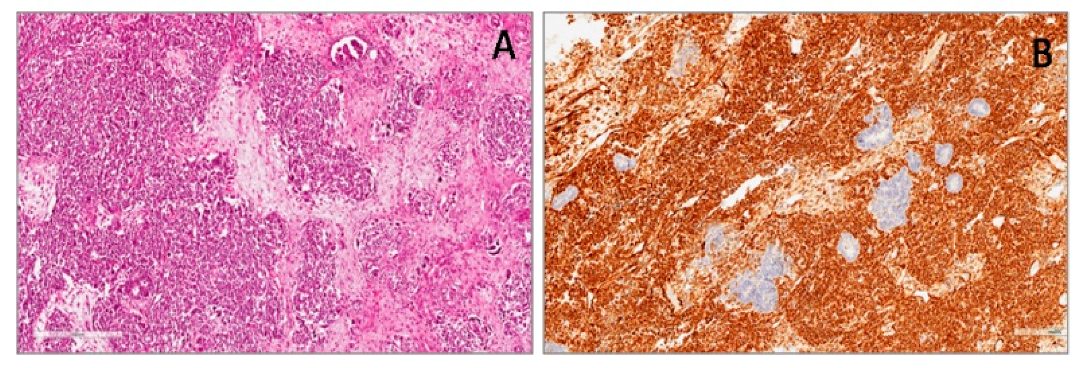 Applsci 10 00040 g002 Applsci 10 00040 g002