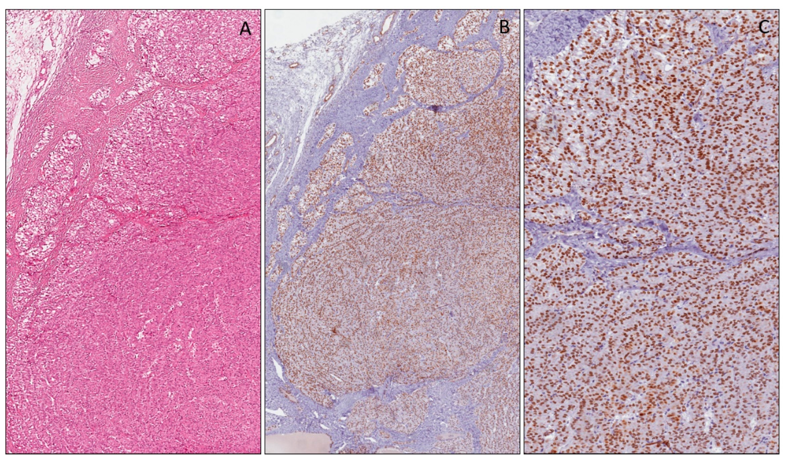 Applsci 10 00040 g004 Applsci 10 00040 g004