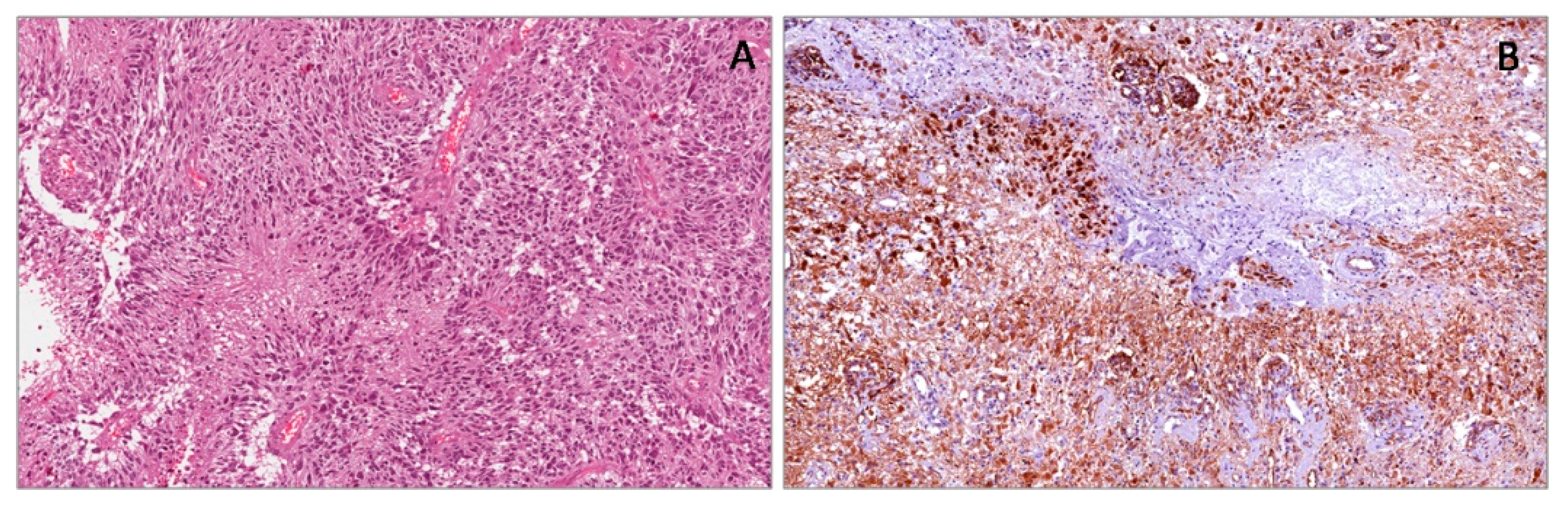 Applsci 10 00040 g006 Applsci 10 00040 g006