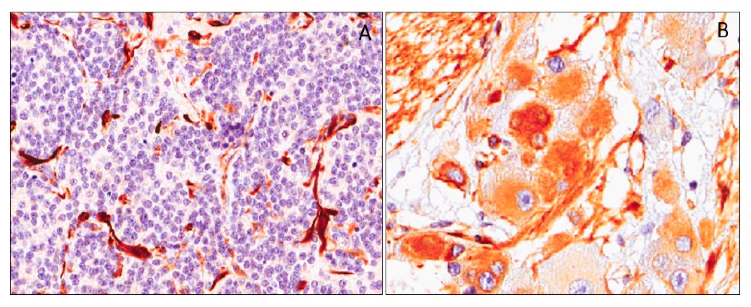 Applsci 10 00040 g011 Applsci 10 00040 g011
