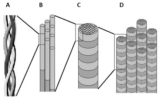 Applied Sciences Free Full Text Cellulose Nanofibers And Other Biopolymers For Biomedical Applications A Review Html Applied Sciences Free Full Text Cellulose Nanofibers And Other Biopolymers For Biomedical Applications A Review Html