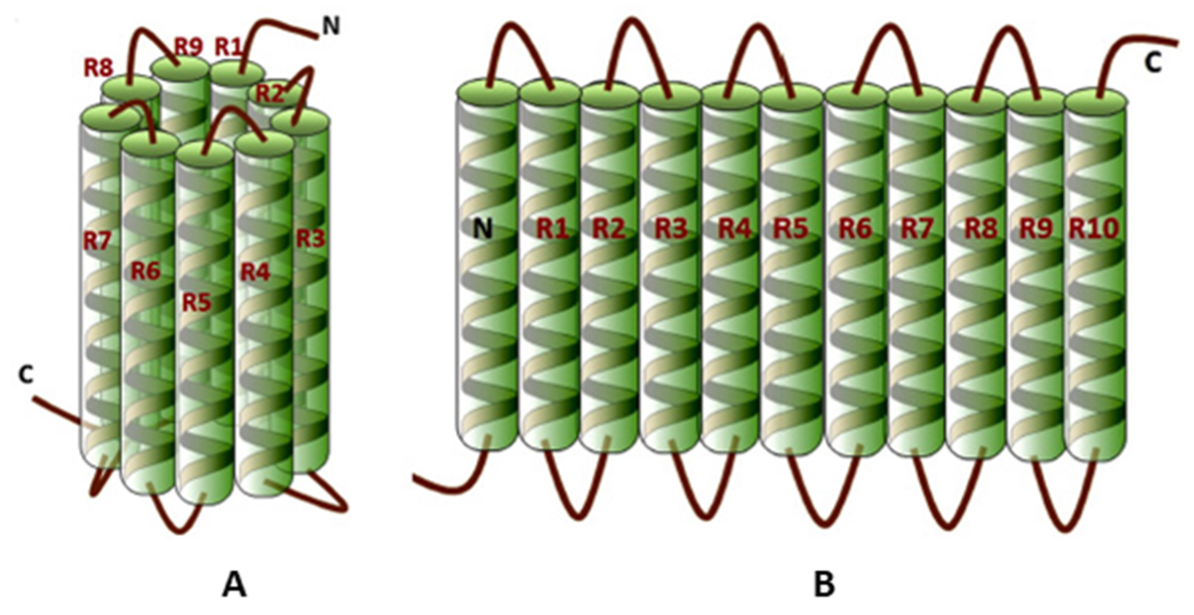 Applsci 10 00065 g010 Applsci 10 00065 g010