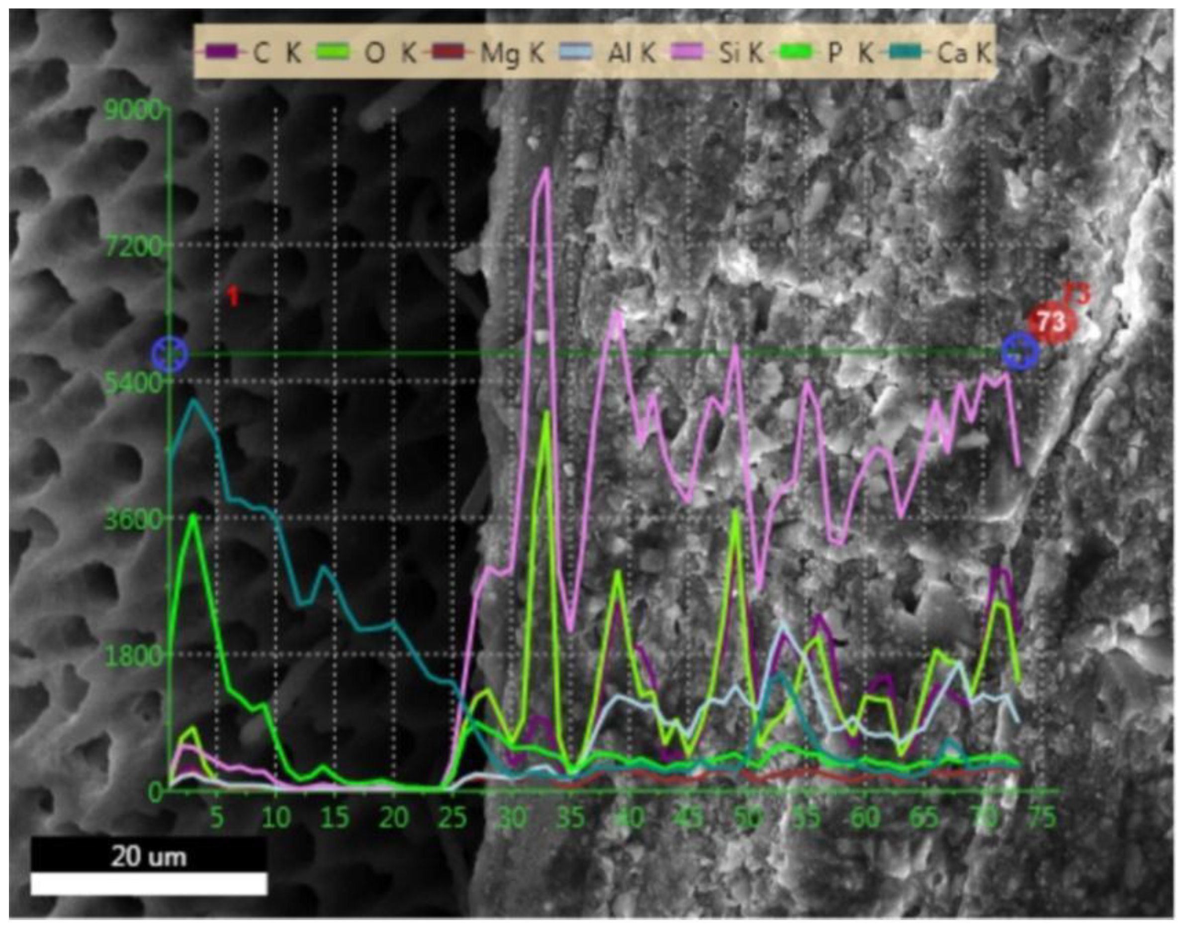 Applsci 10 00124 g005 Applsci 10 00124 g005