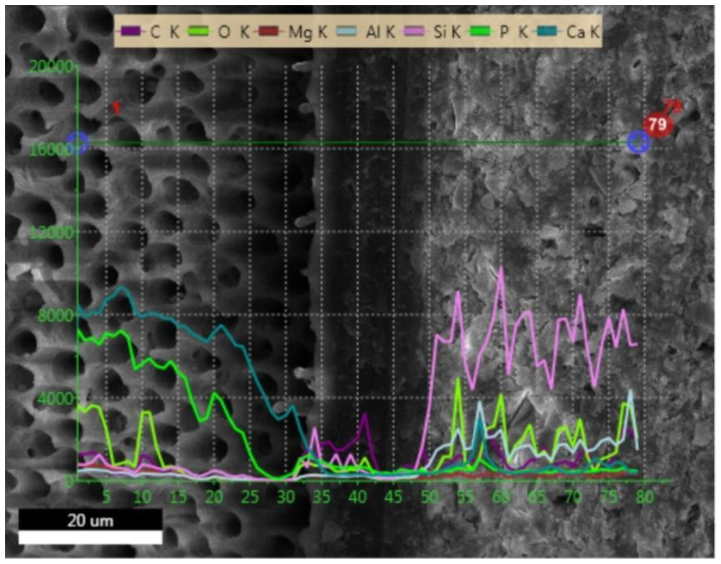 Applsci 10 00124 g006 Applsci 10 00124 g006