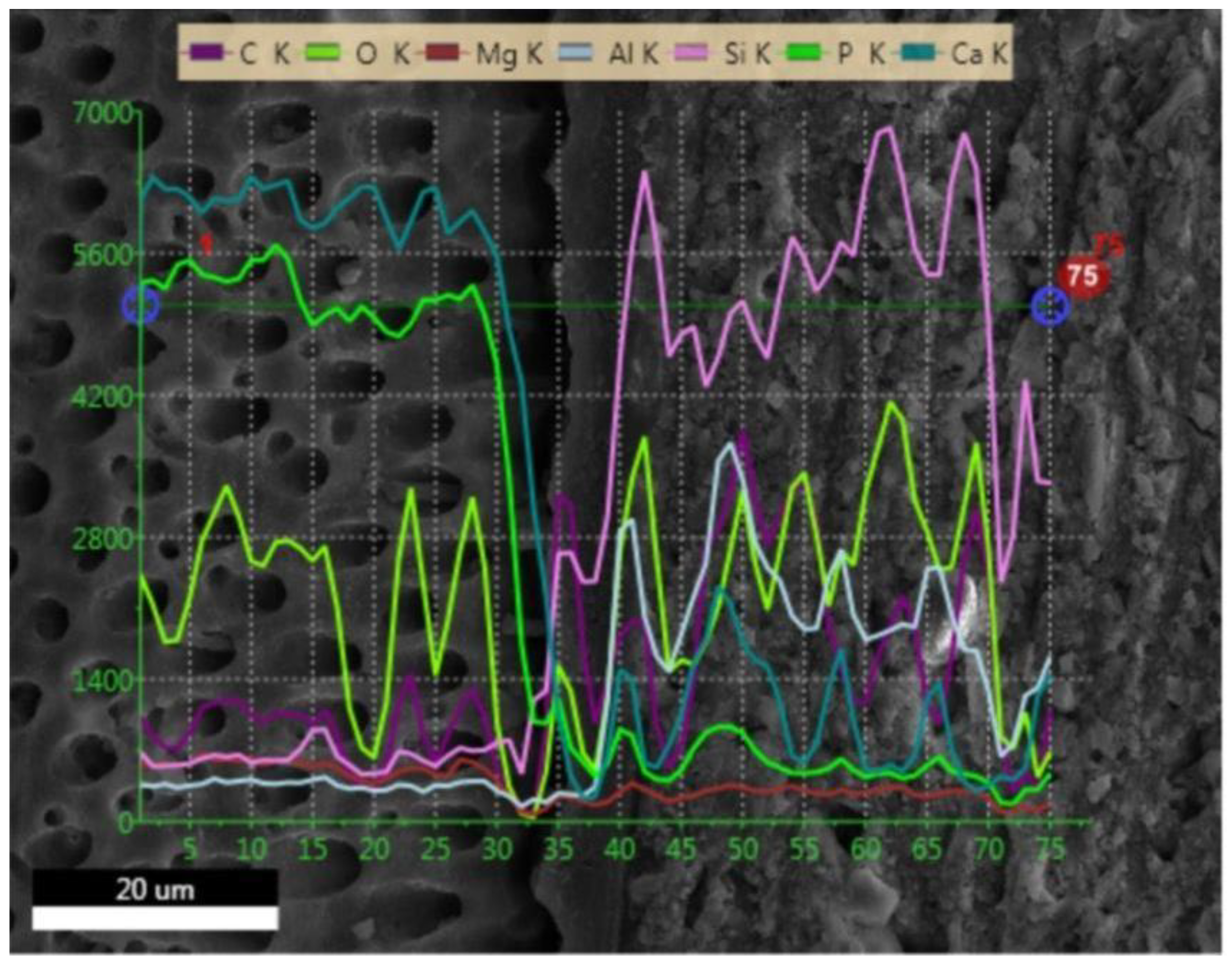 Applsci 10 00124 g007 Applsci 10 00124 g007
