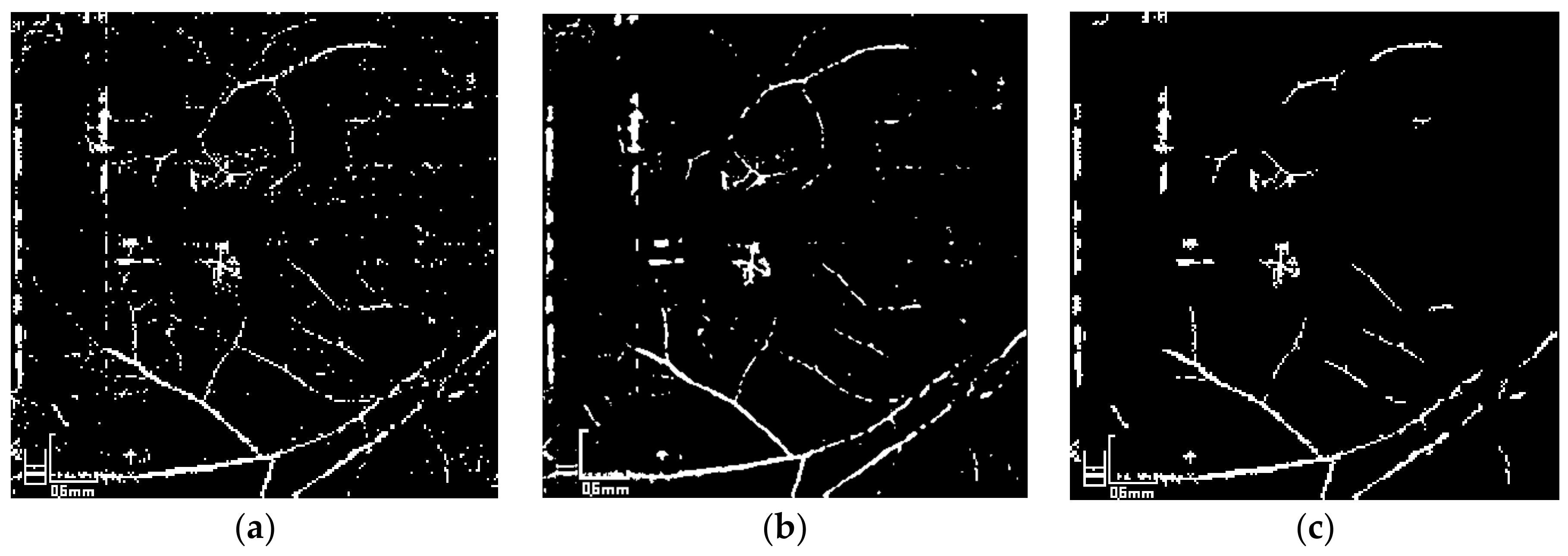 Applsci 10 00137 g005
